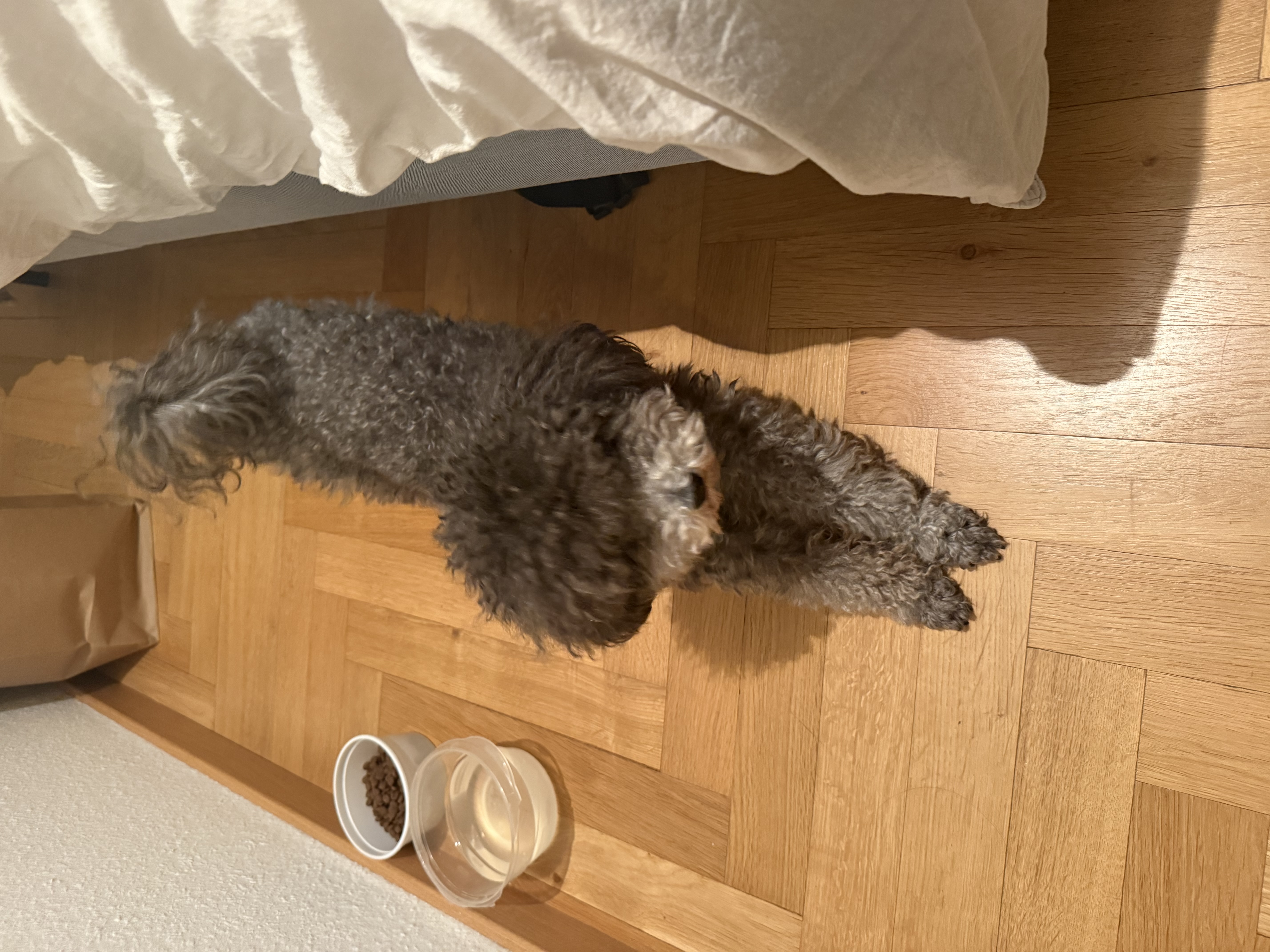 image-8