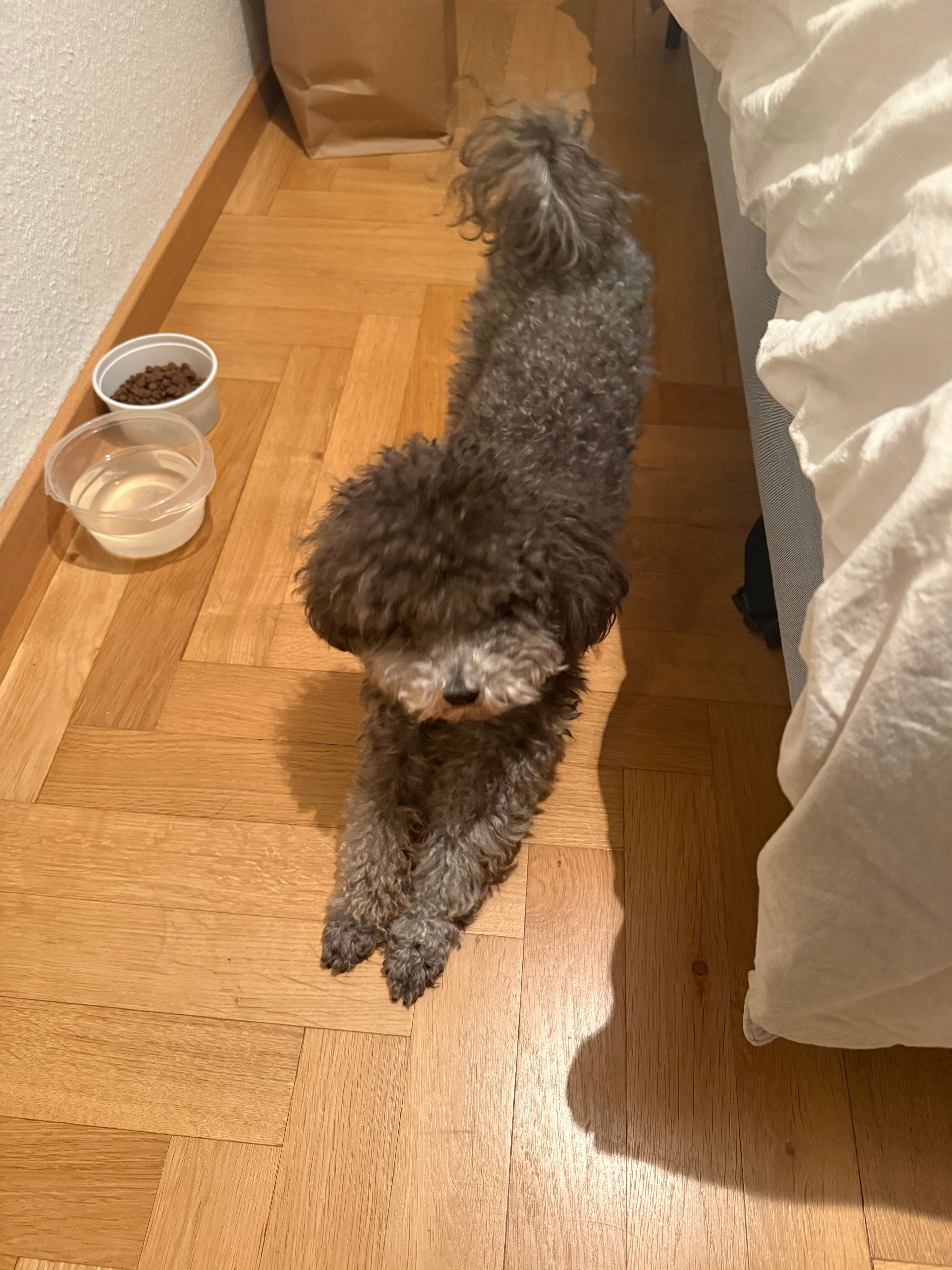 image-8