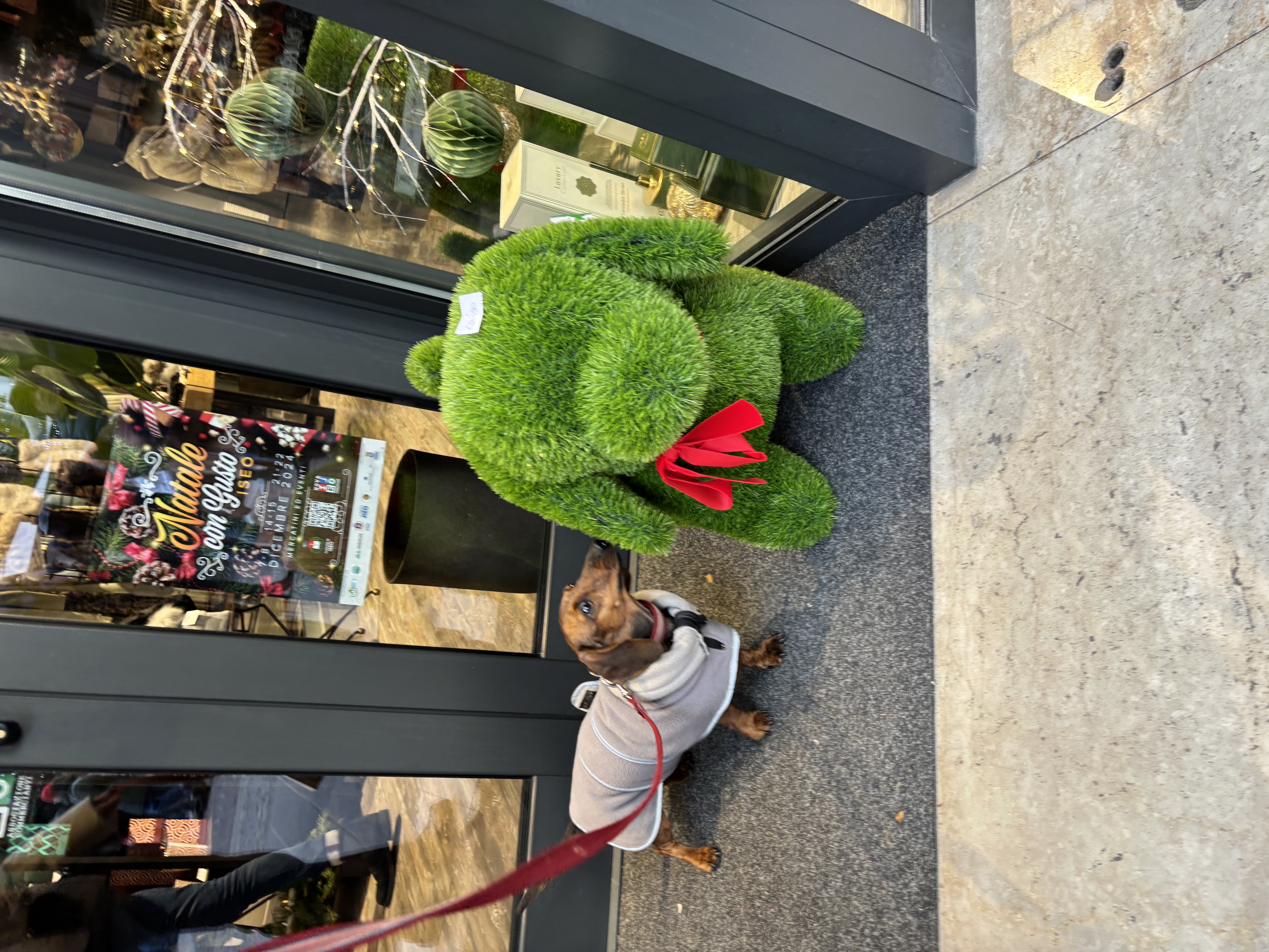image-16