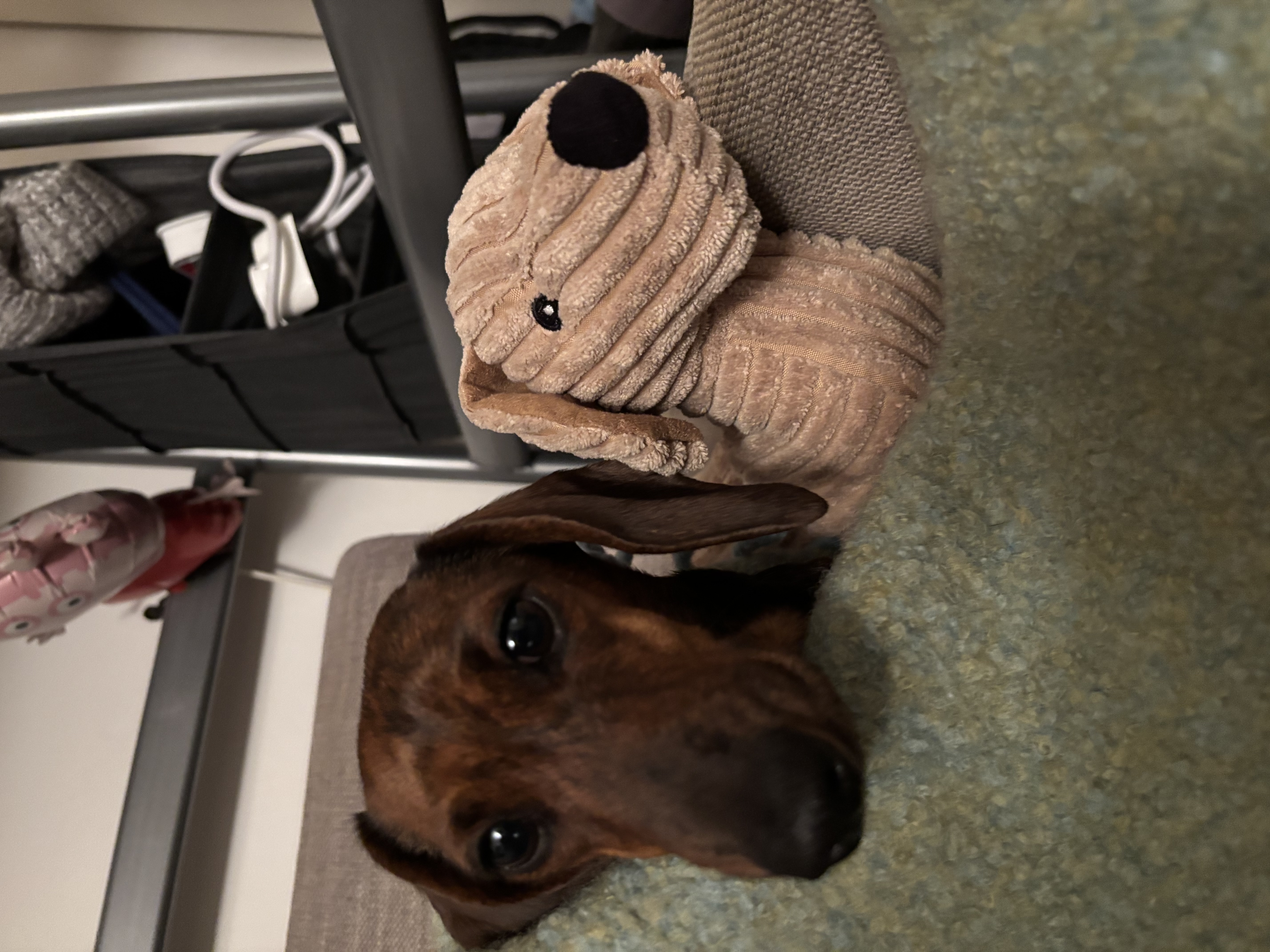 image-12