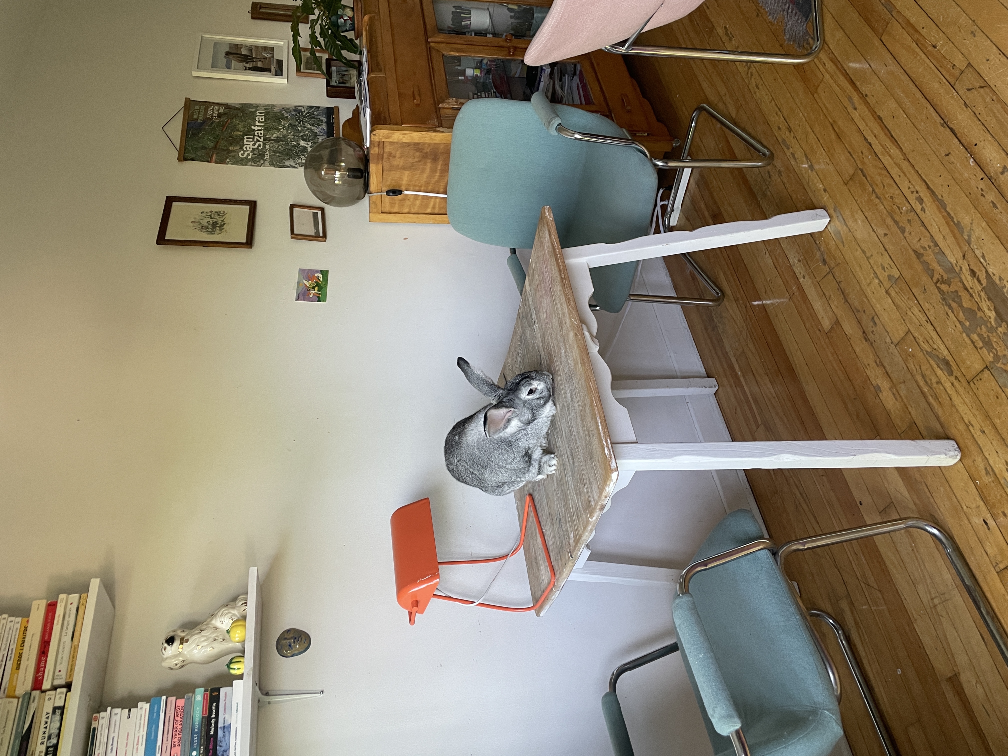 image-13