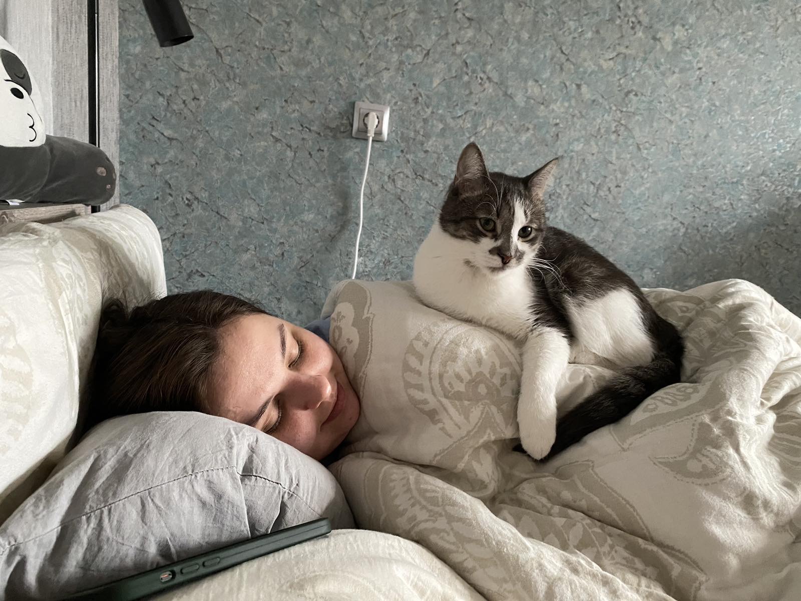 image-6