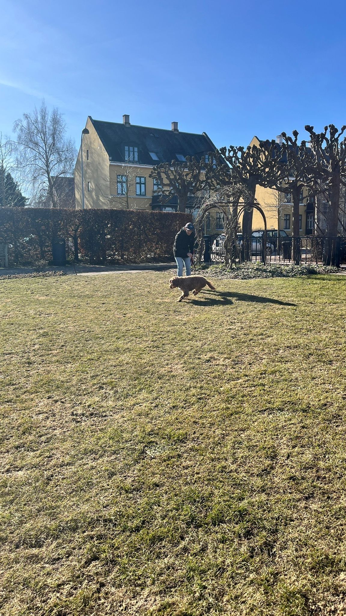 image-7