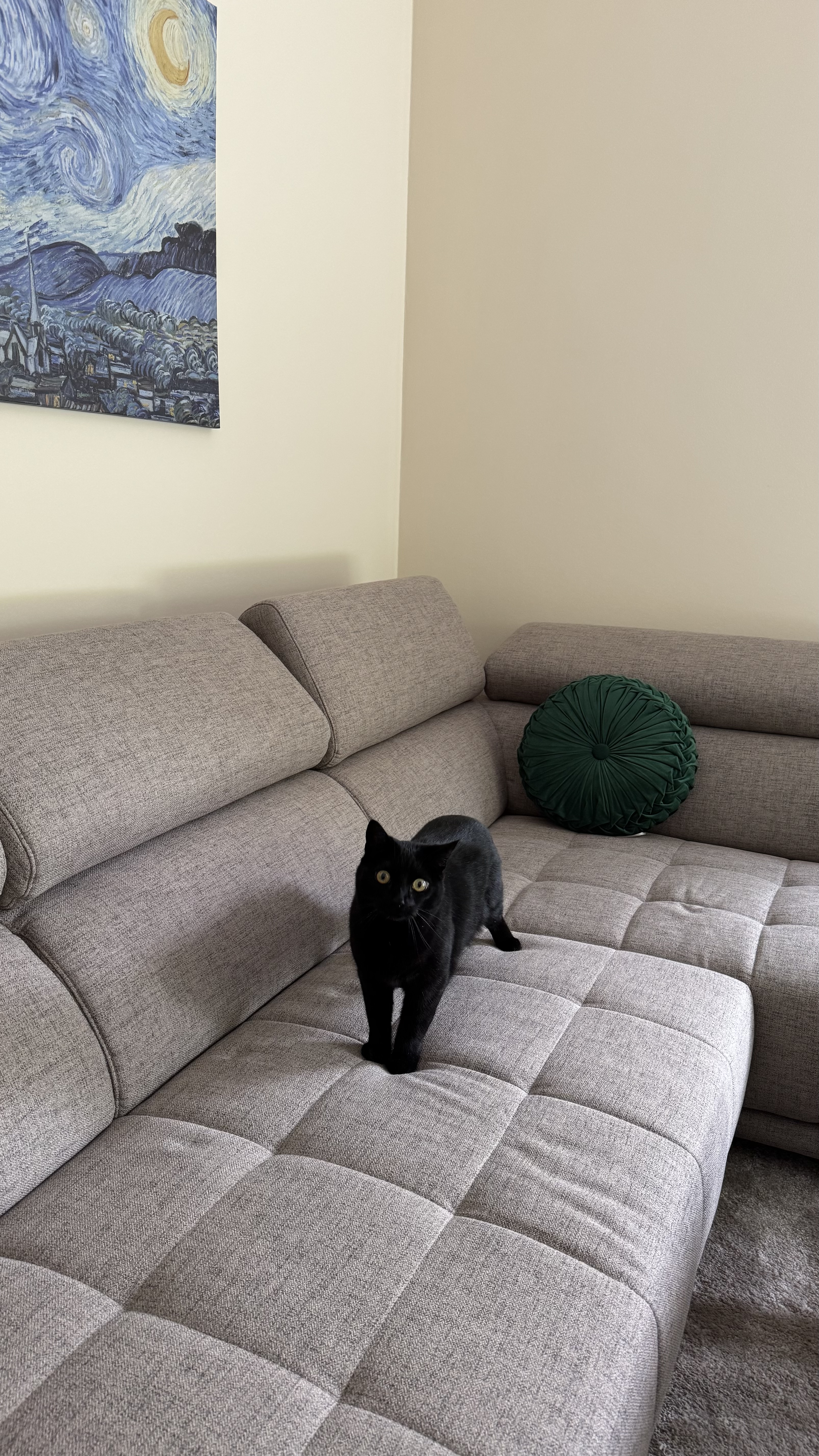 image-10