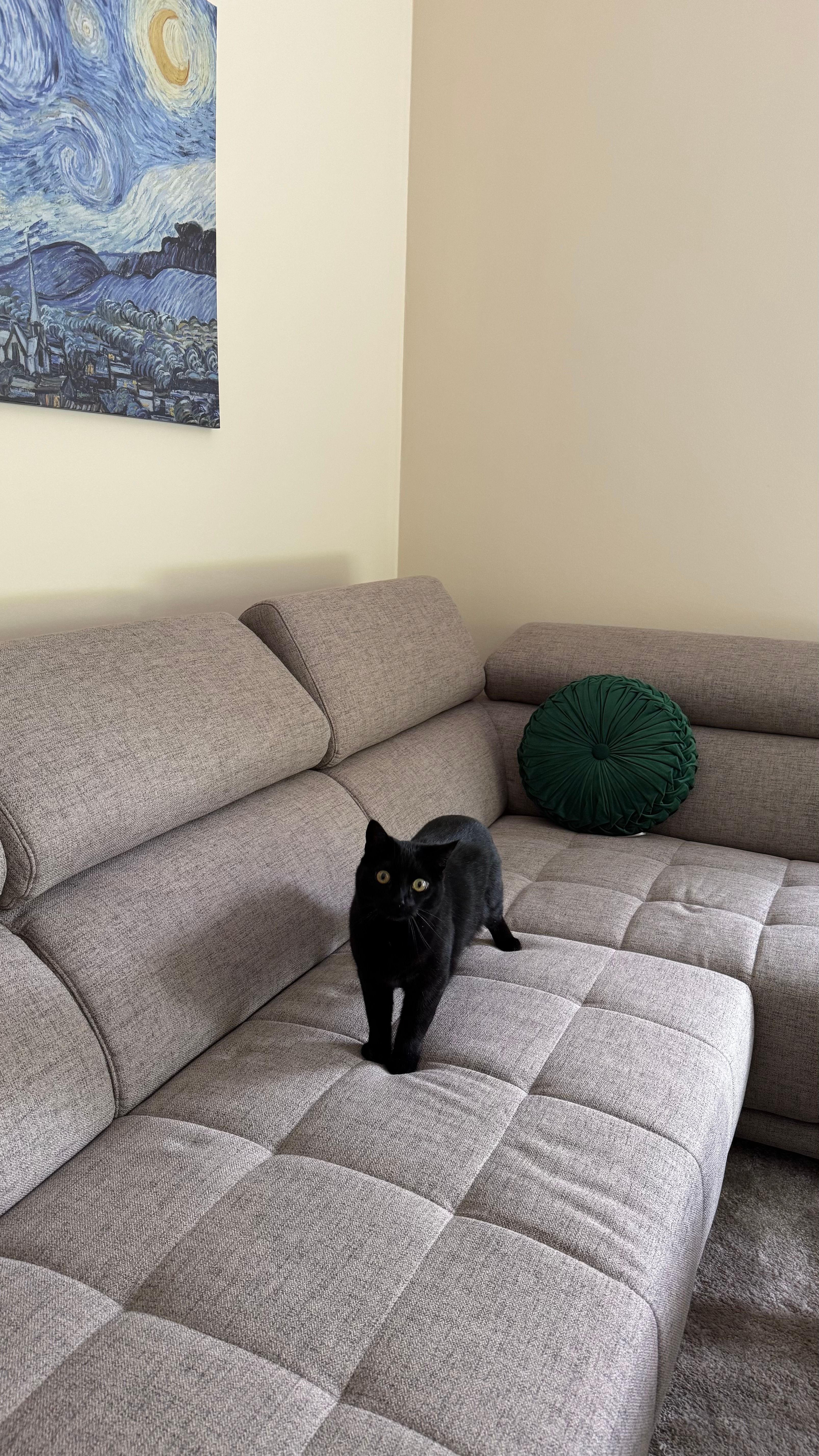 image-10
