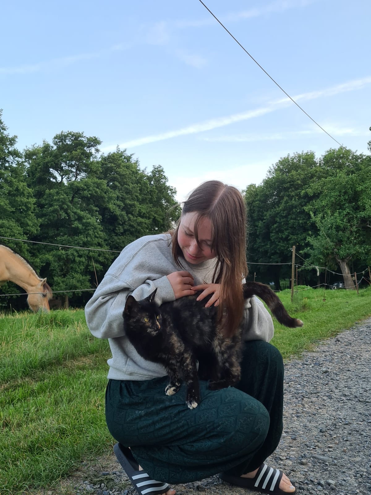 image-3