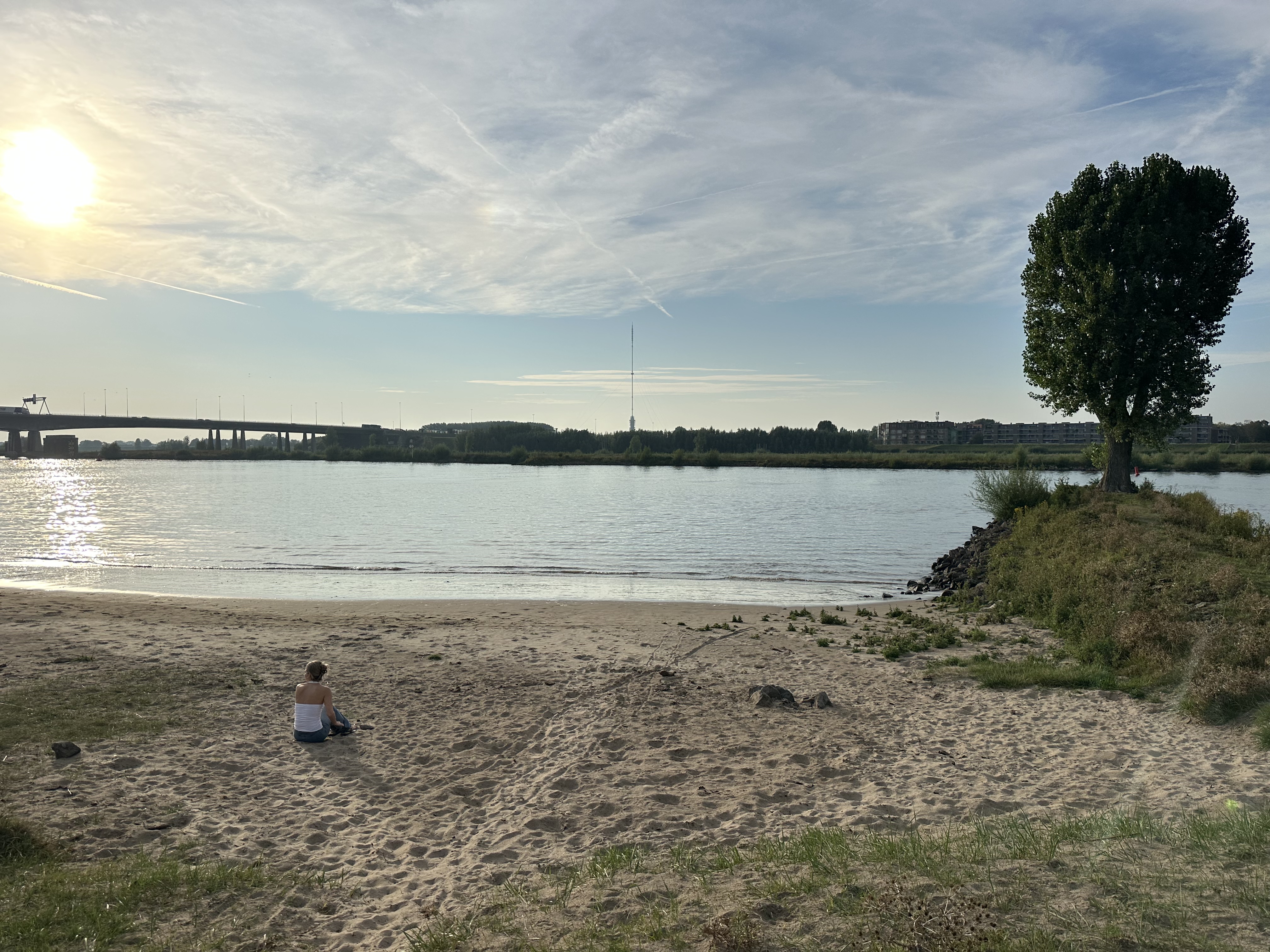 image-20