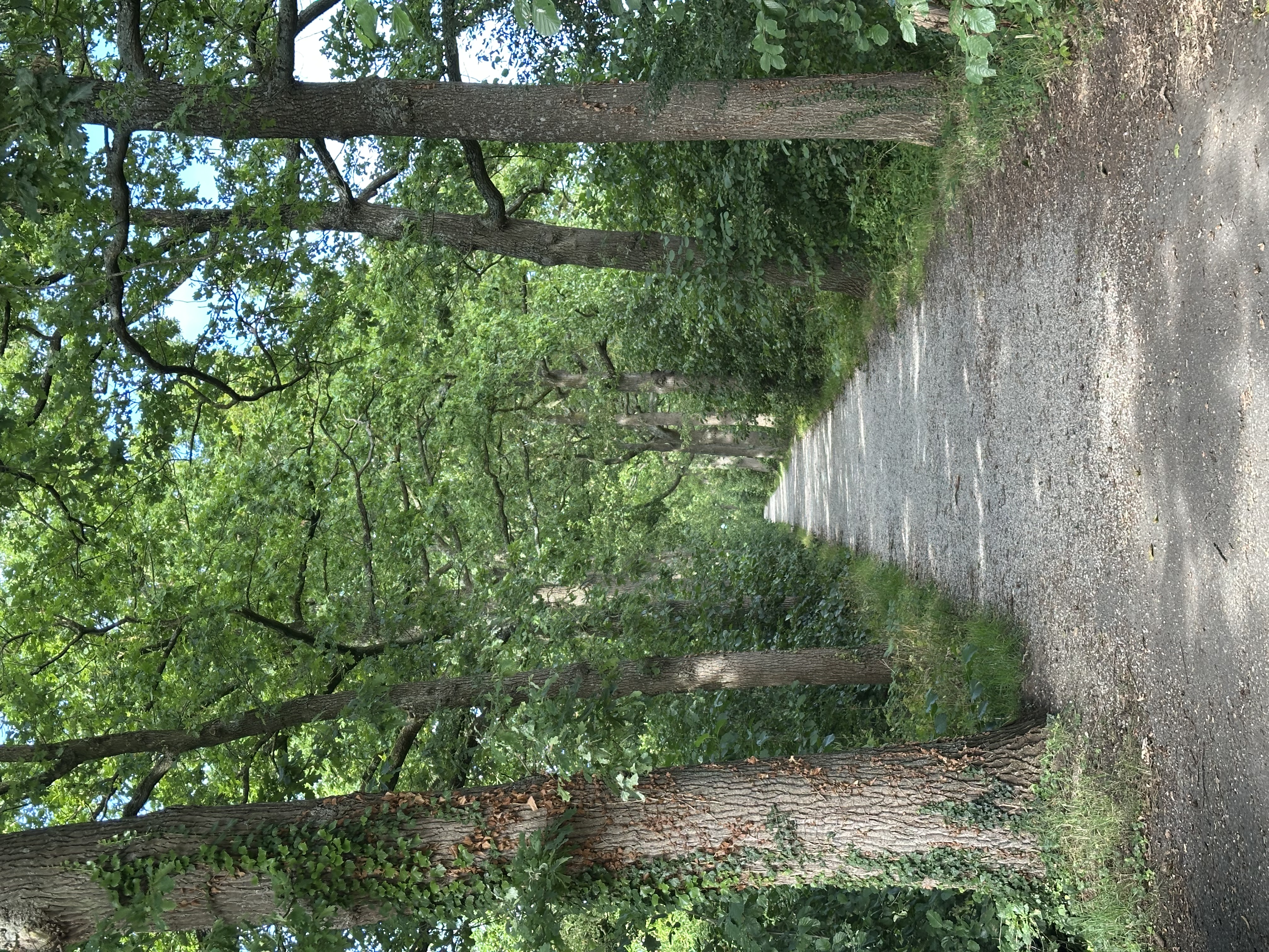 image-21