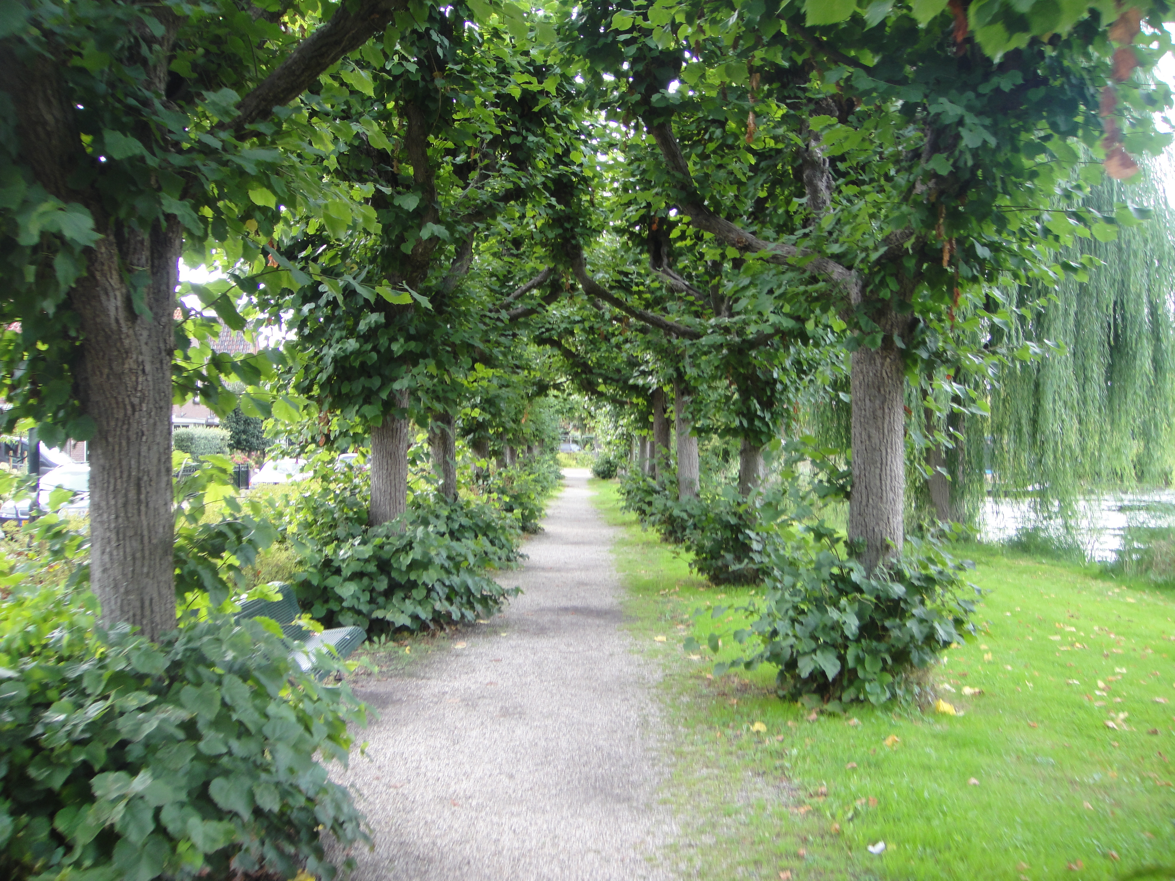 image-23
