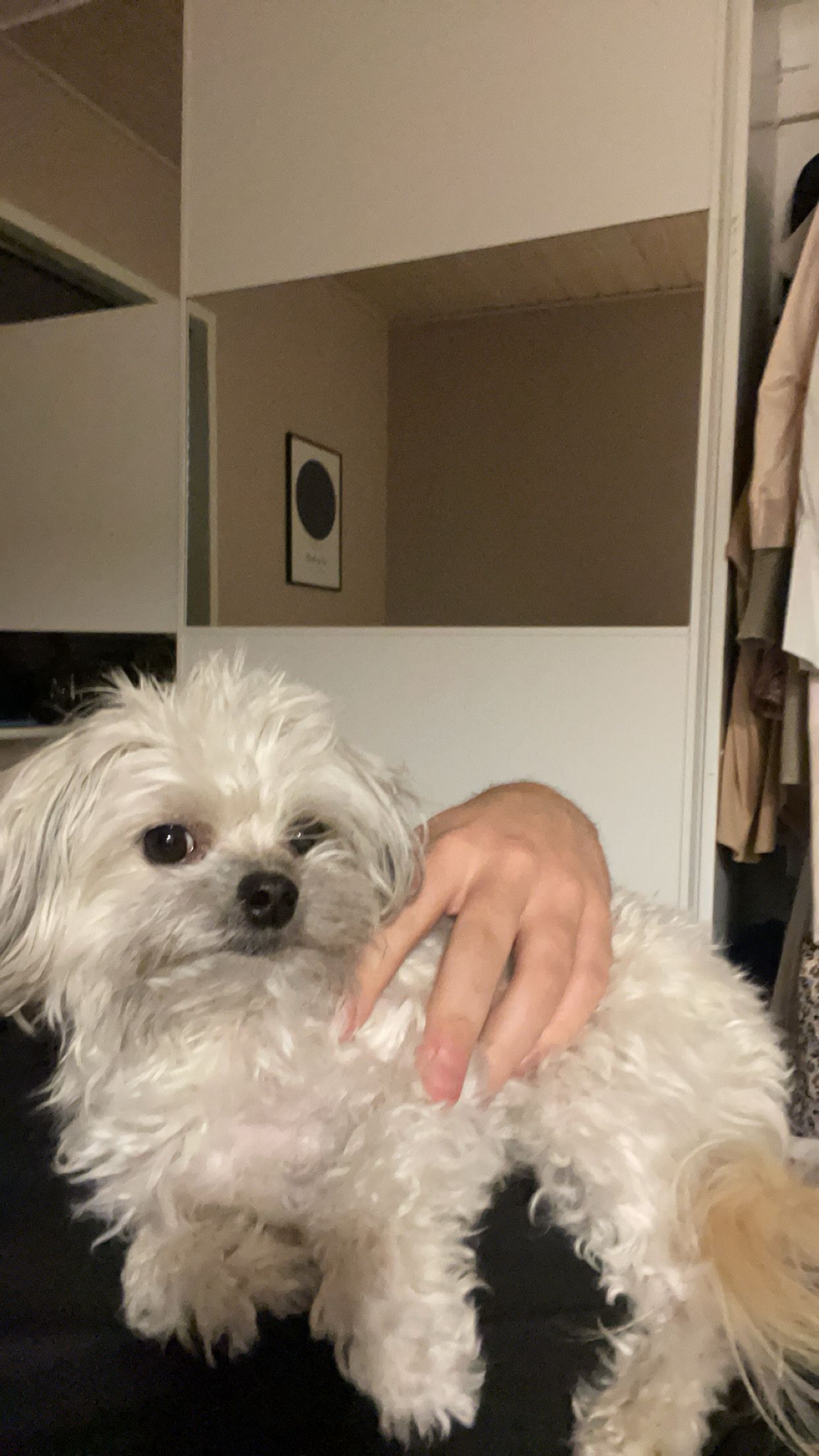 image-12