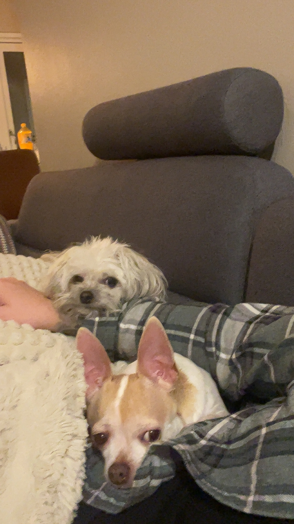 image-4