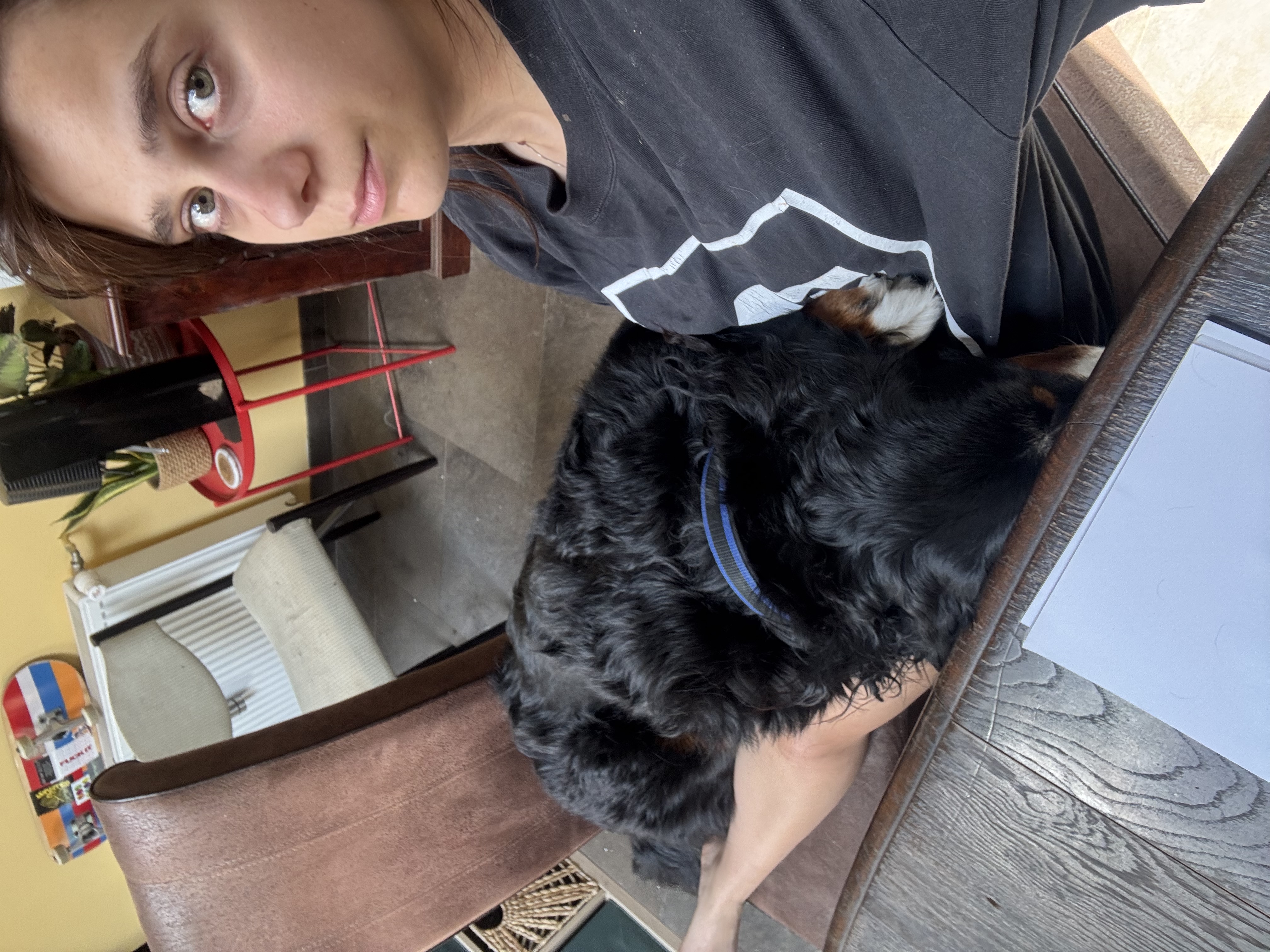 image-9