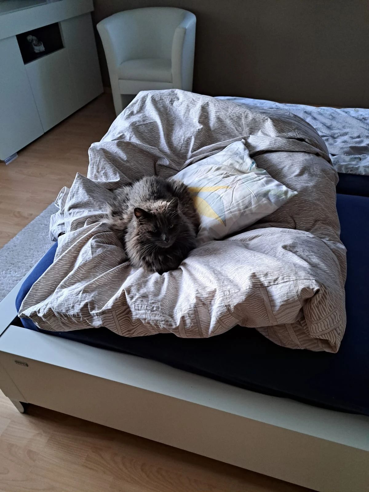 image-5