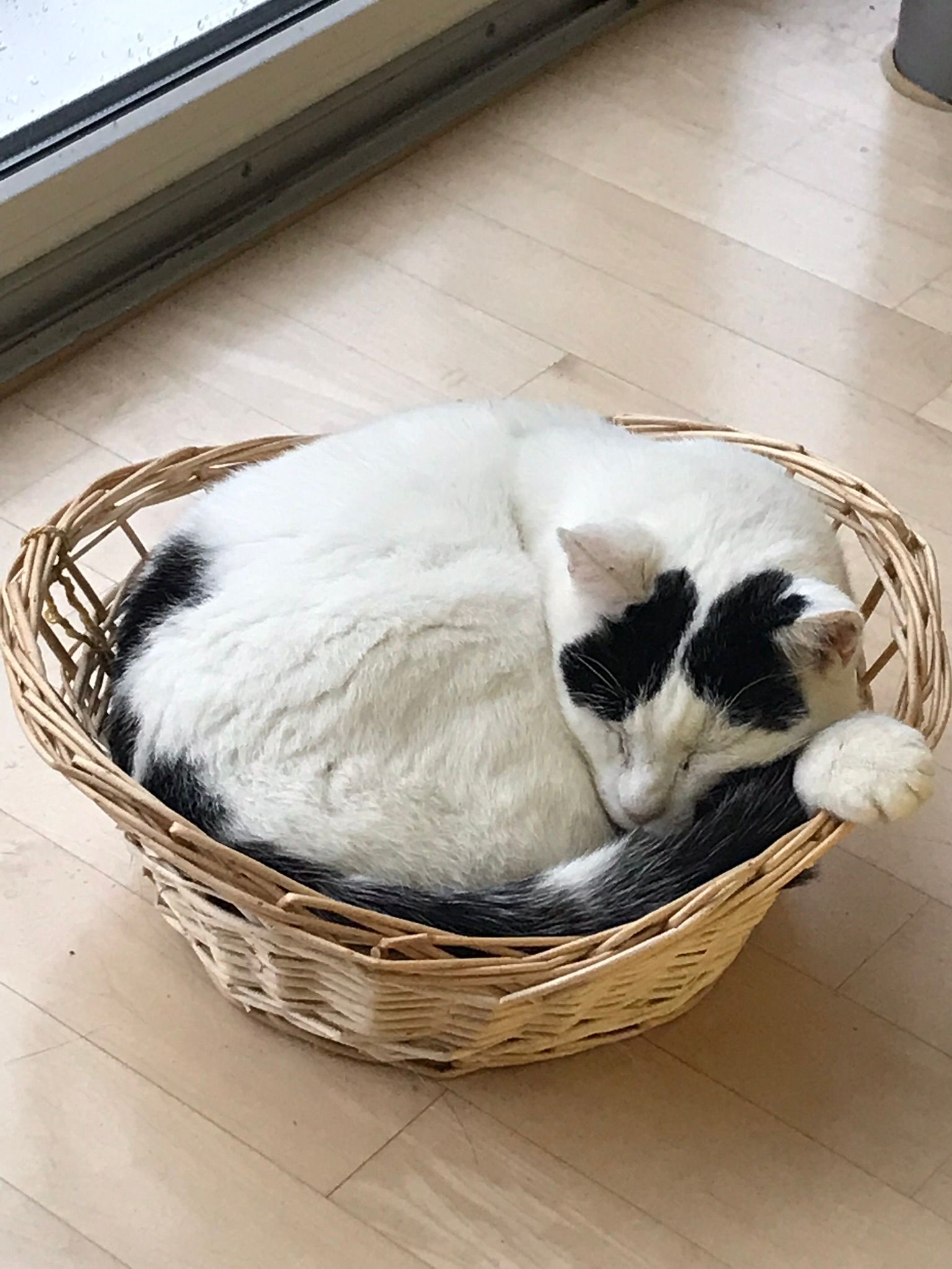 image-9