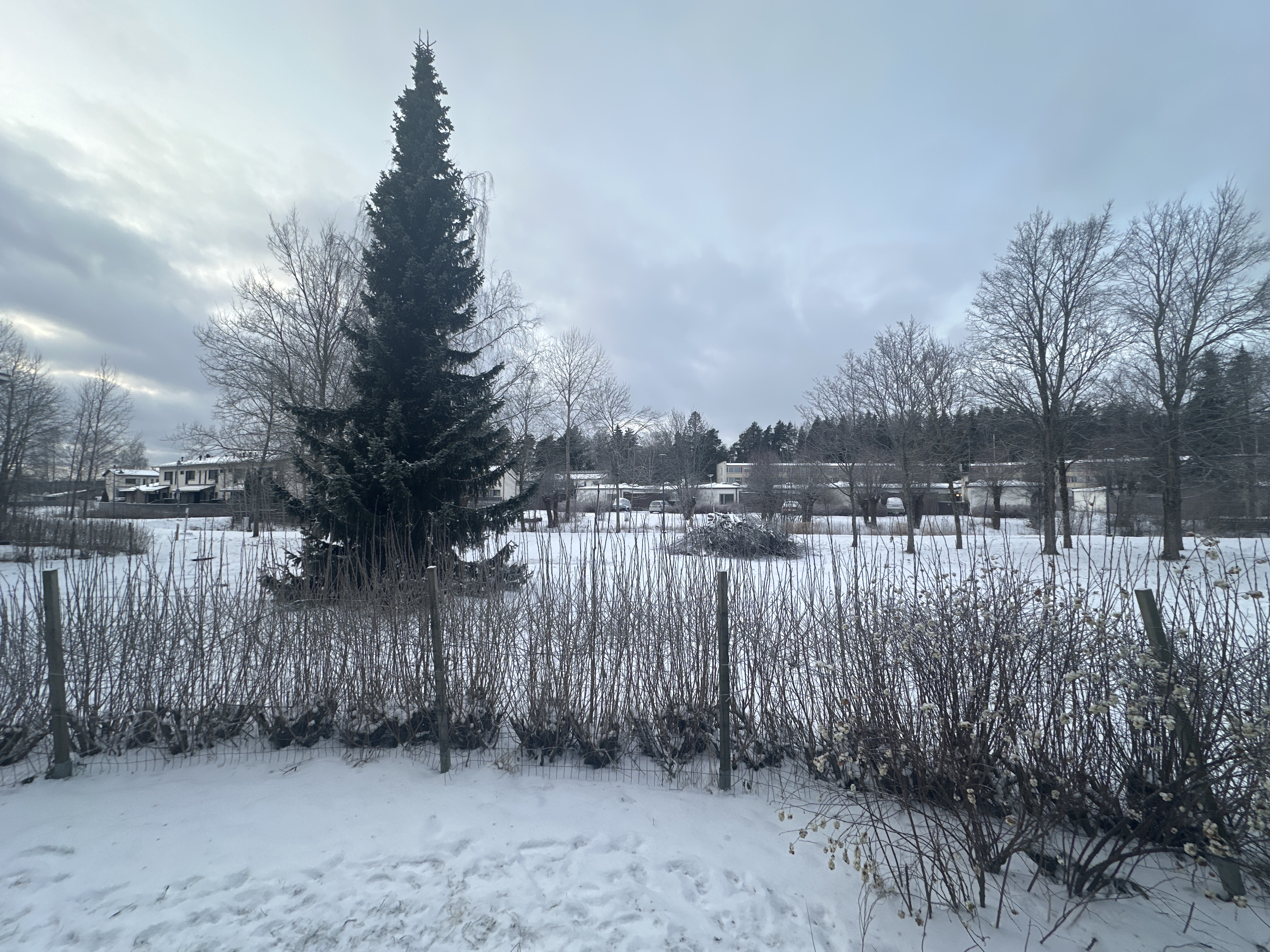 image-21