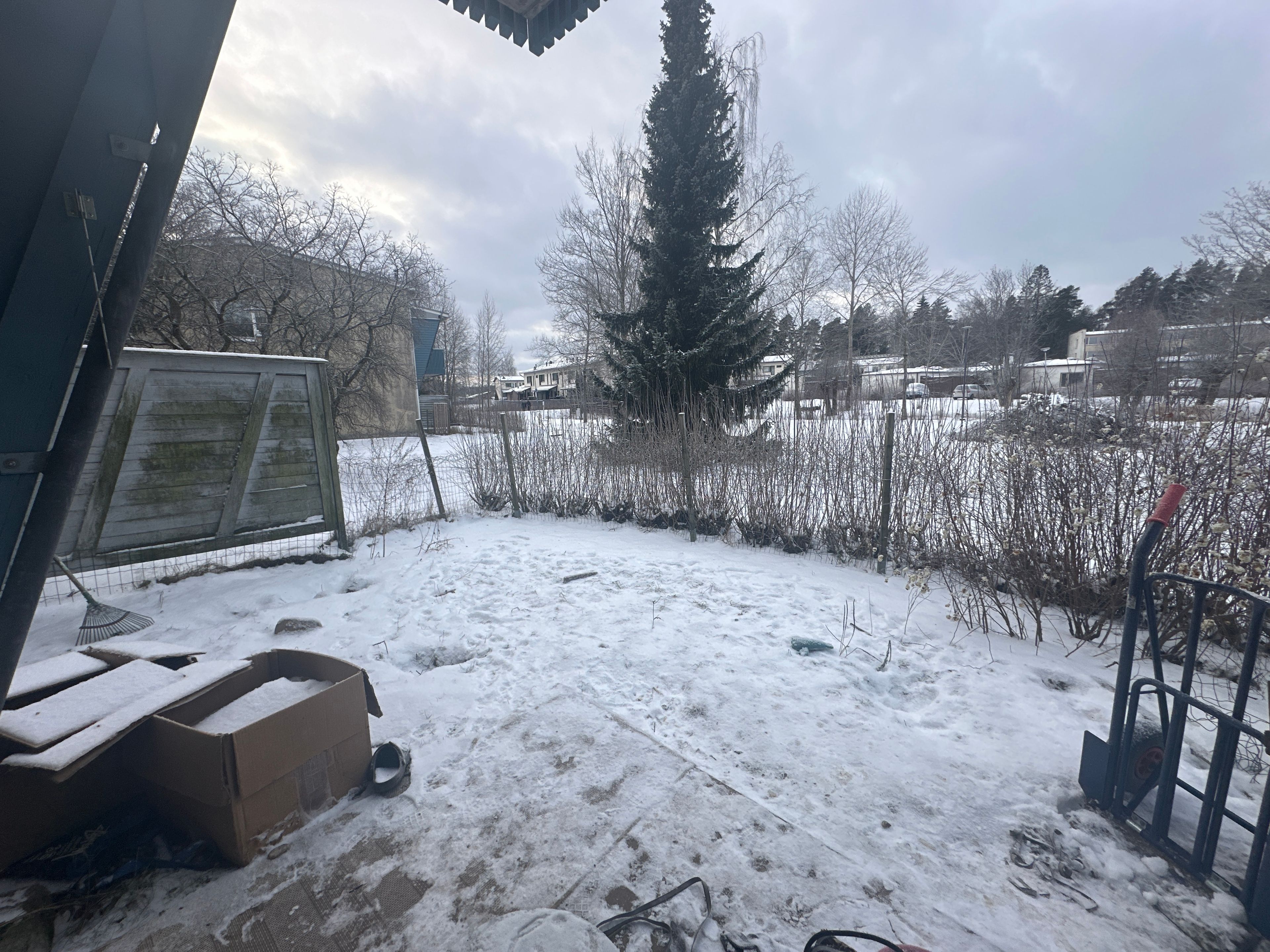 image-17