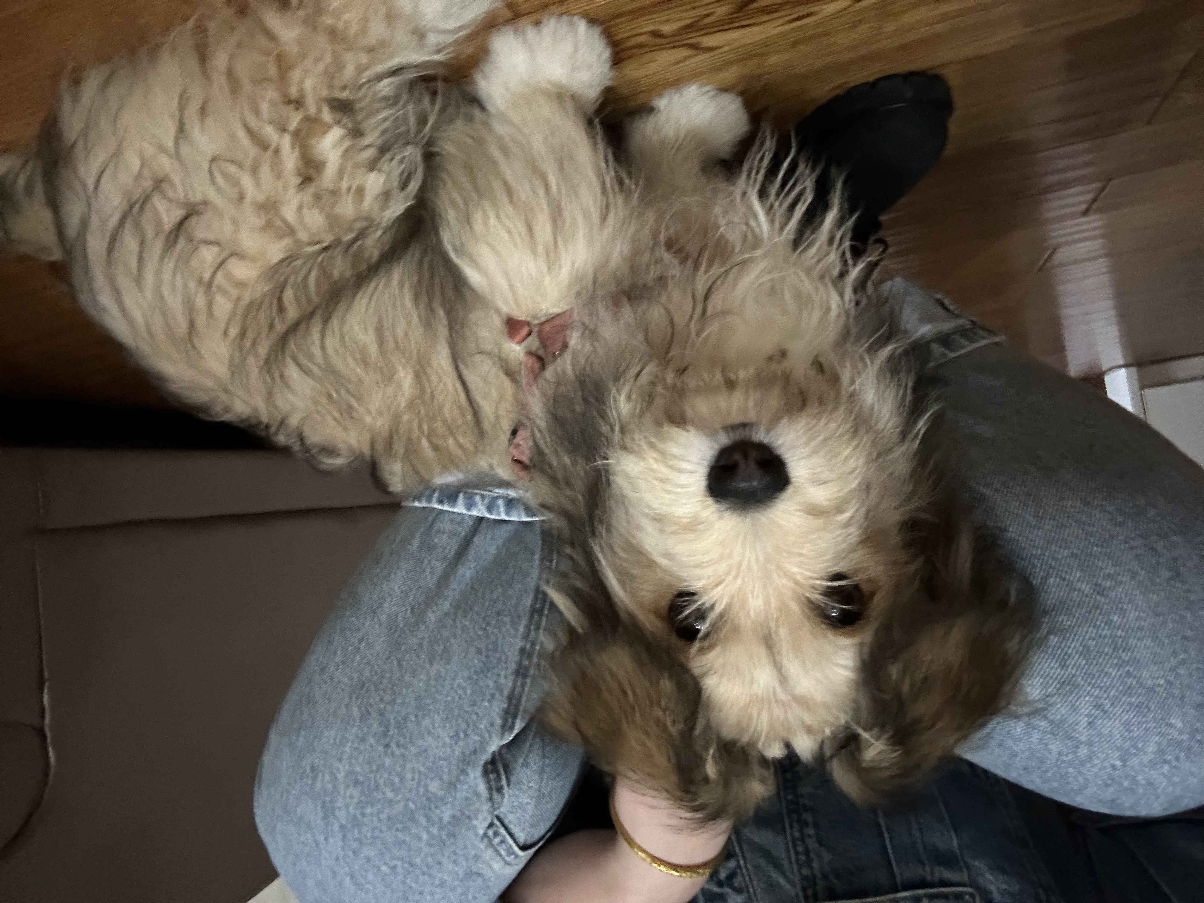 image-8