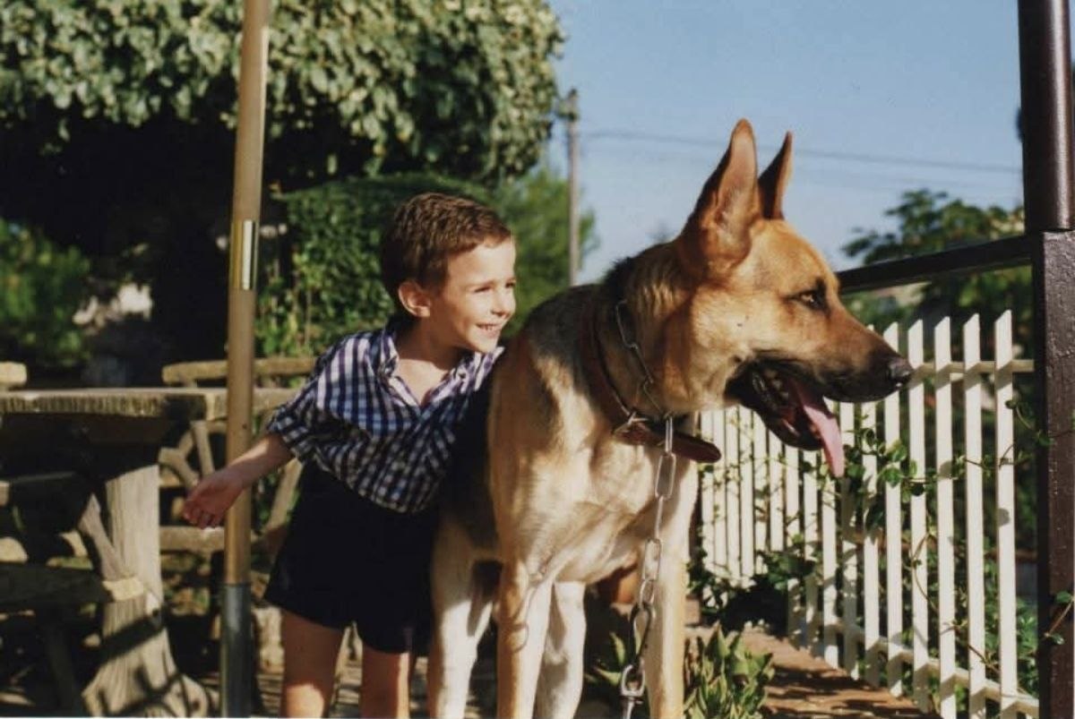 image-9