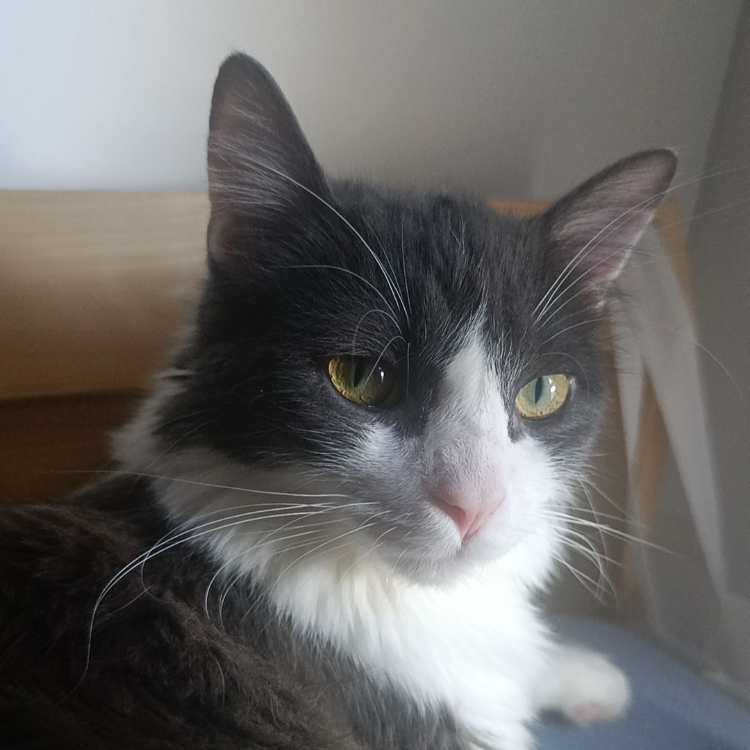 Jasper