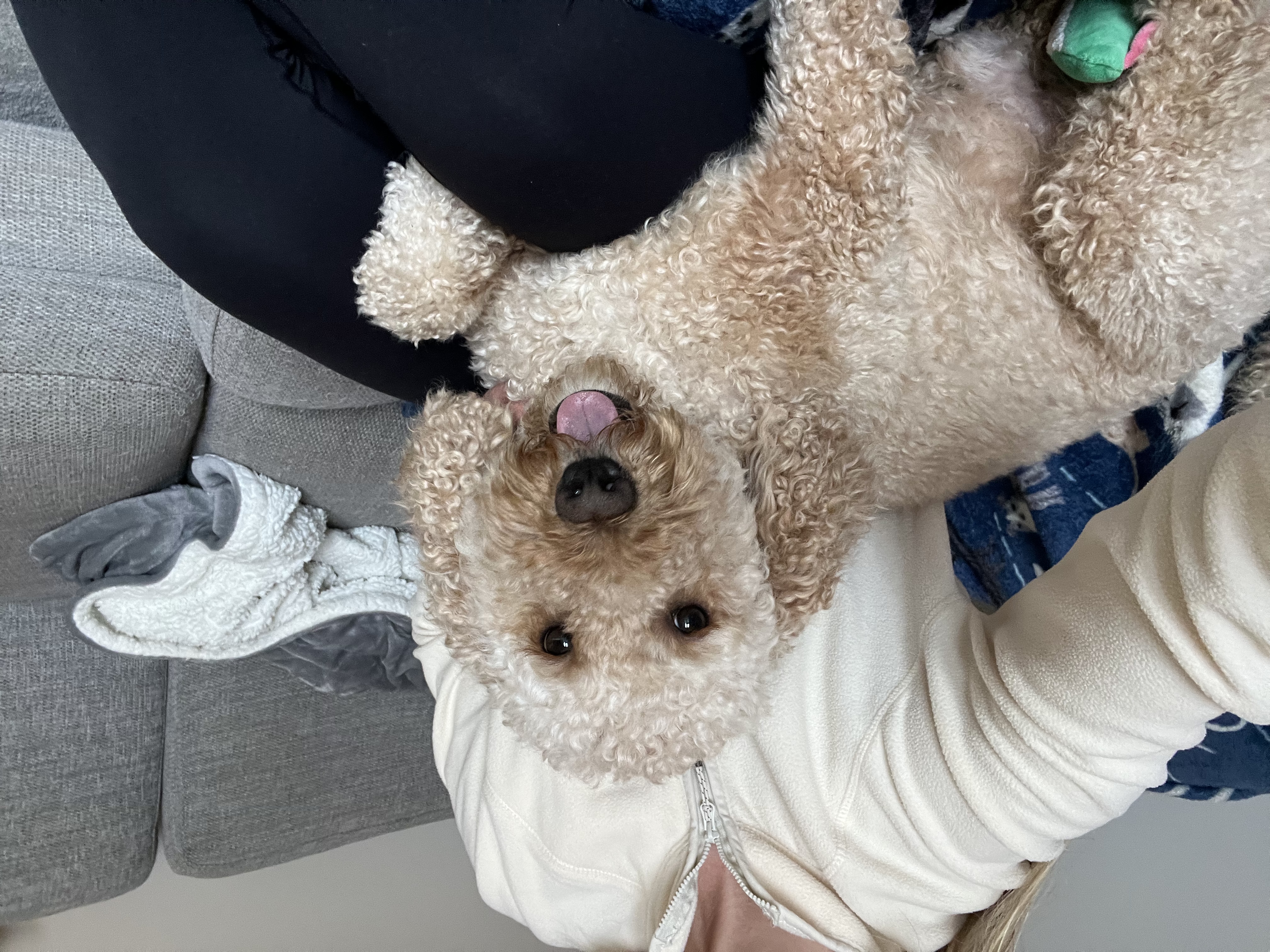 image-6