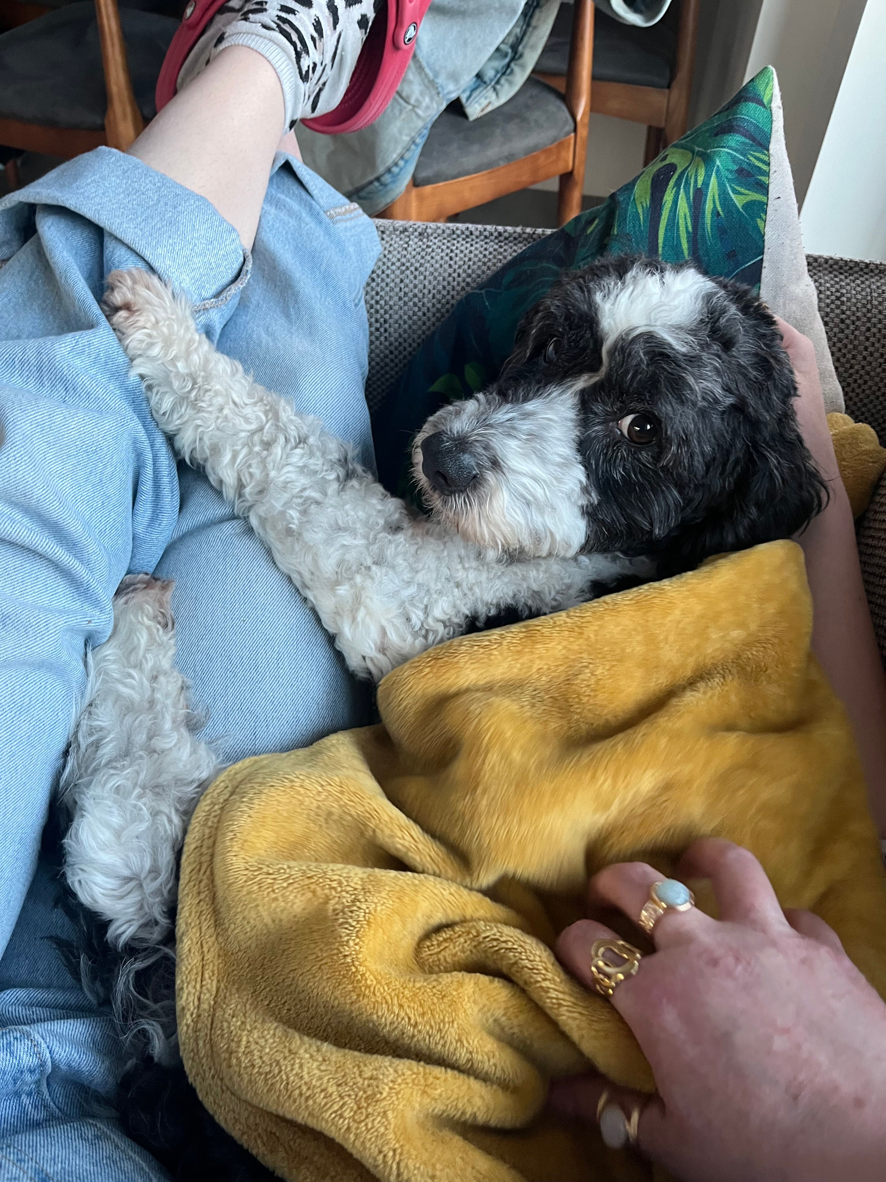 image-6