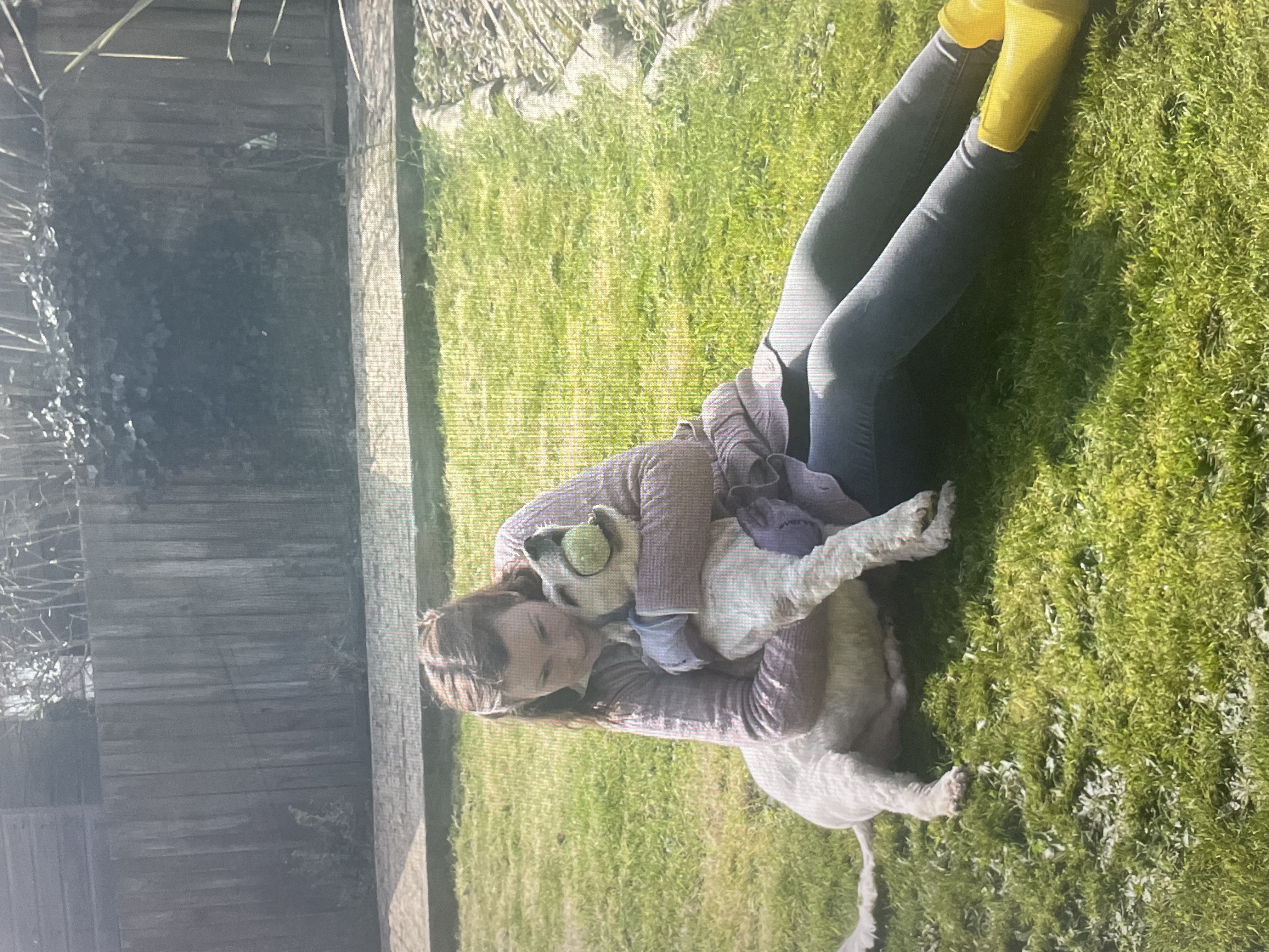 image-4