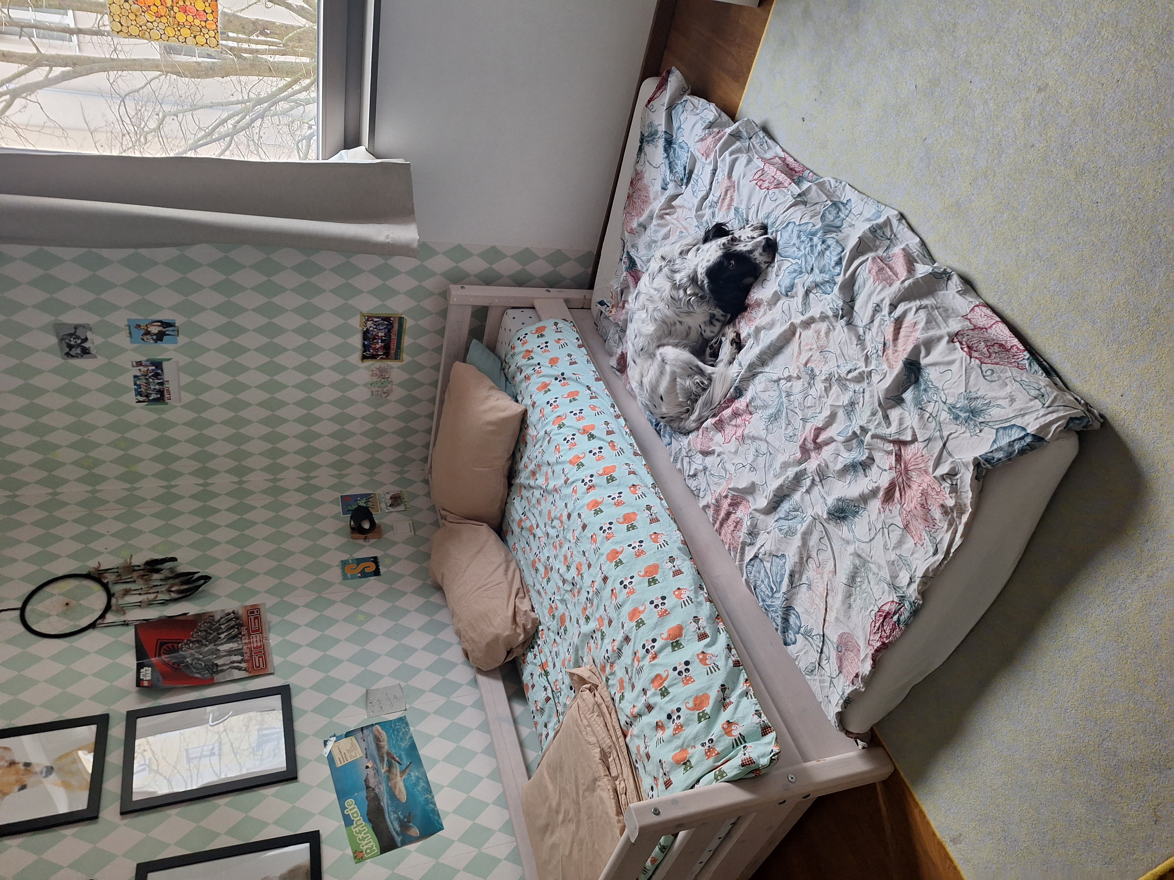 image-13