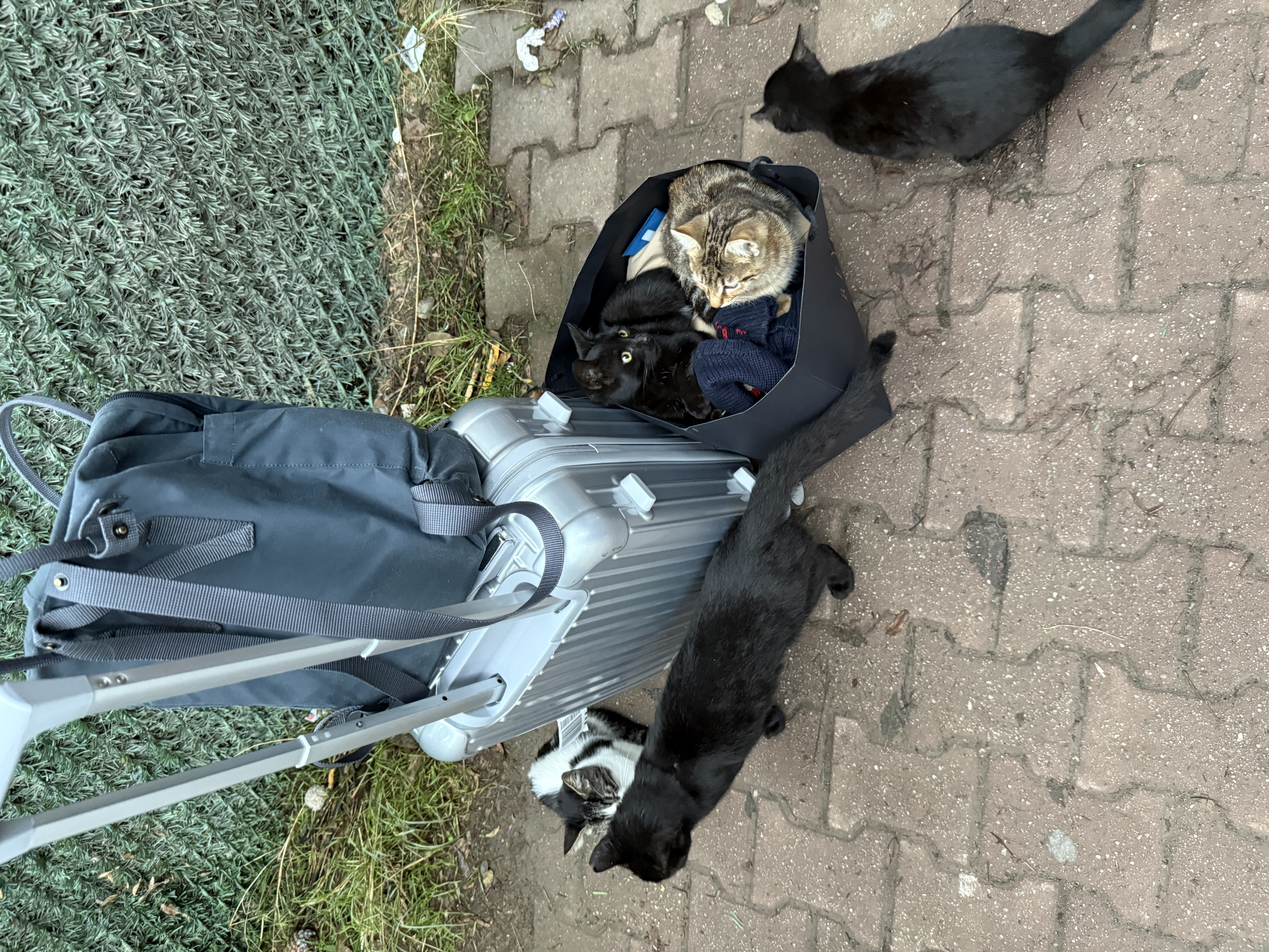 image-13
