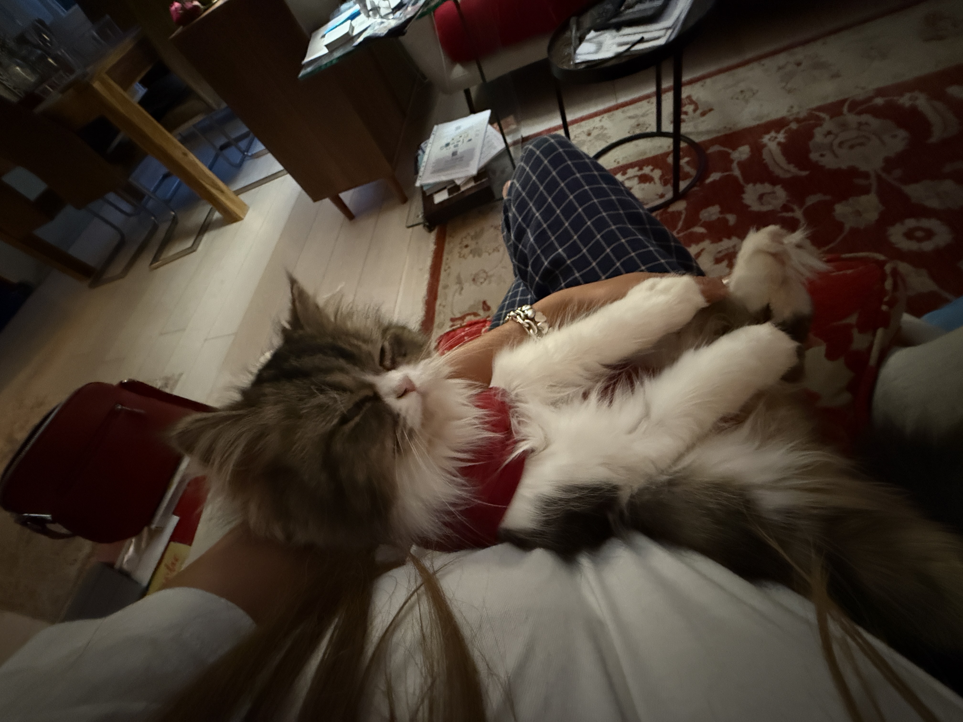 image-9