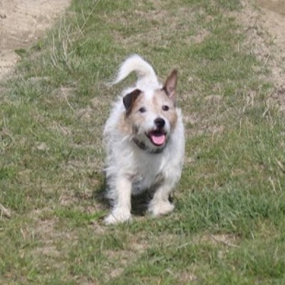 Patch