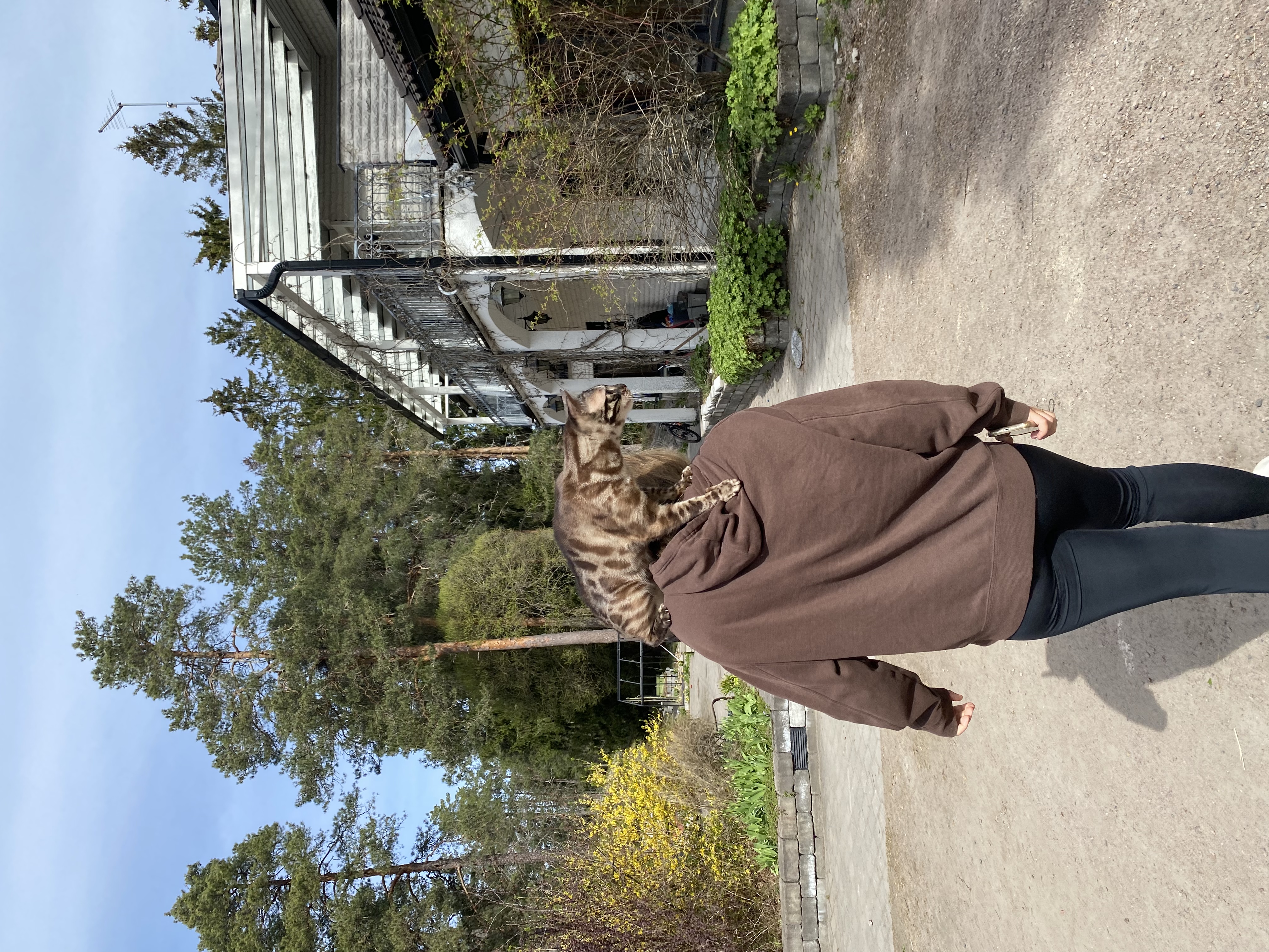 image-17