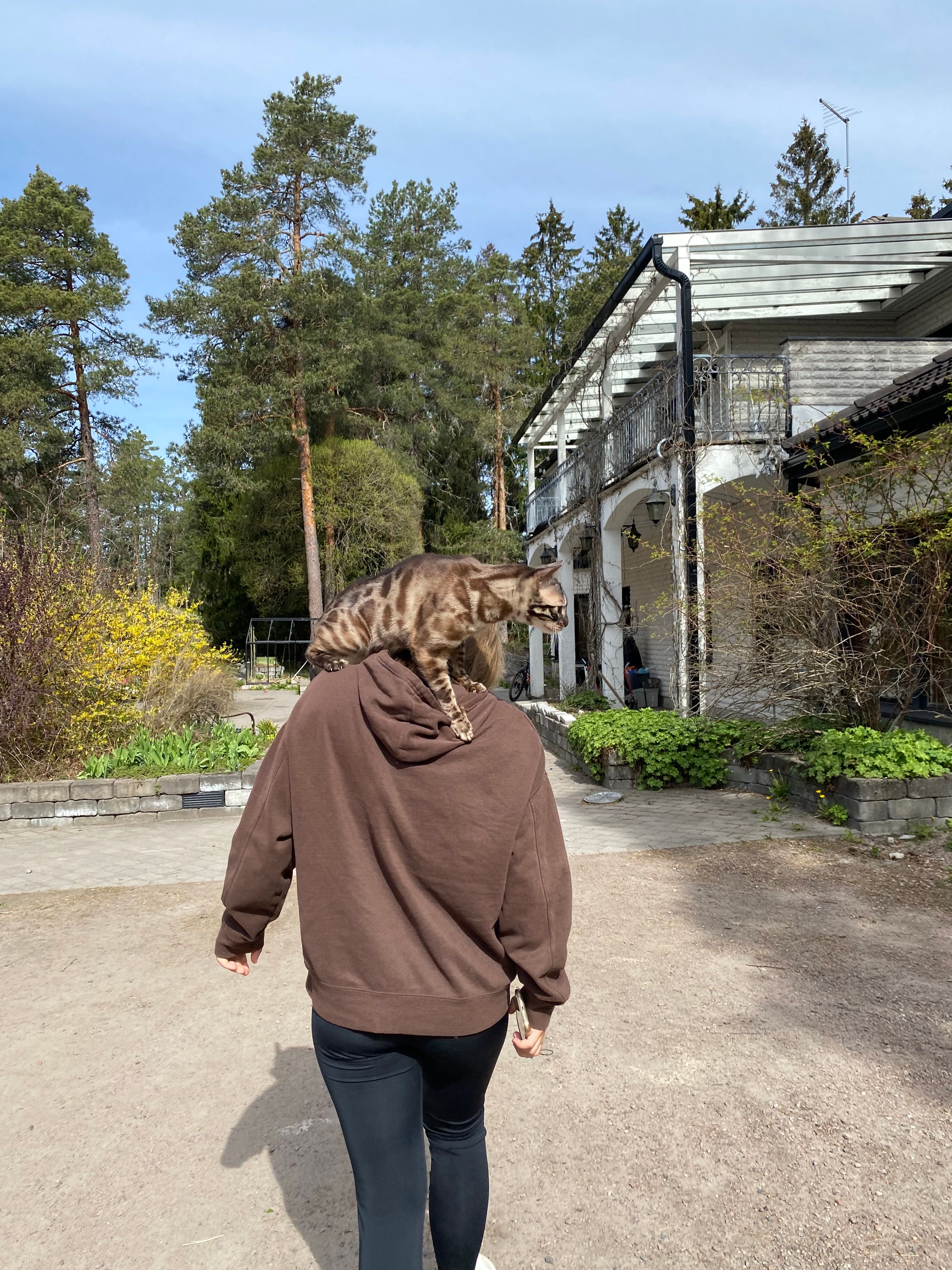 image-17