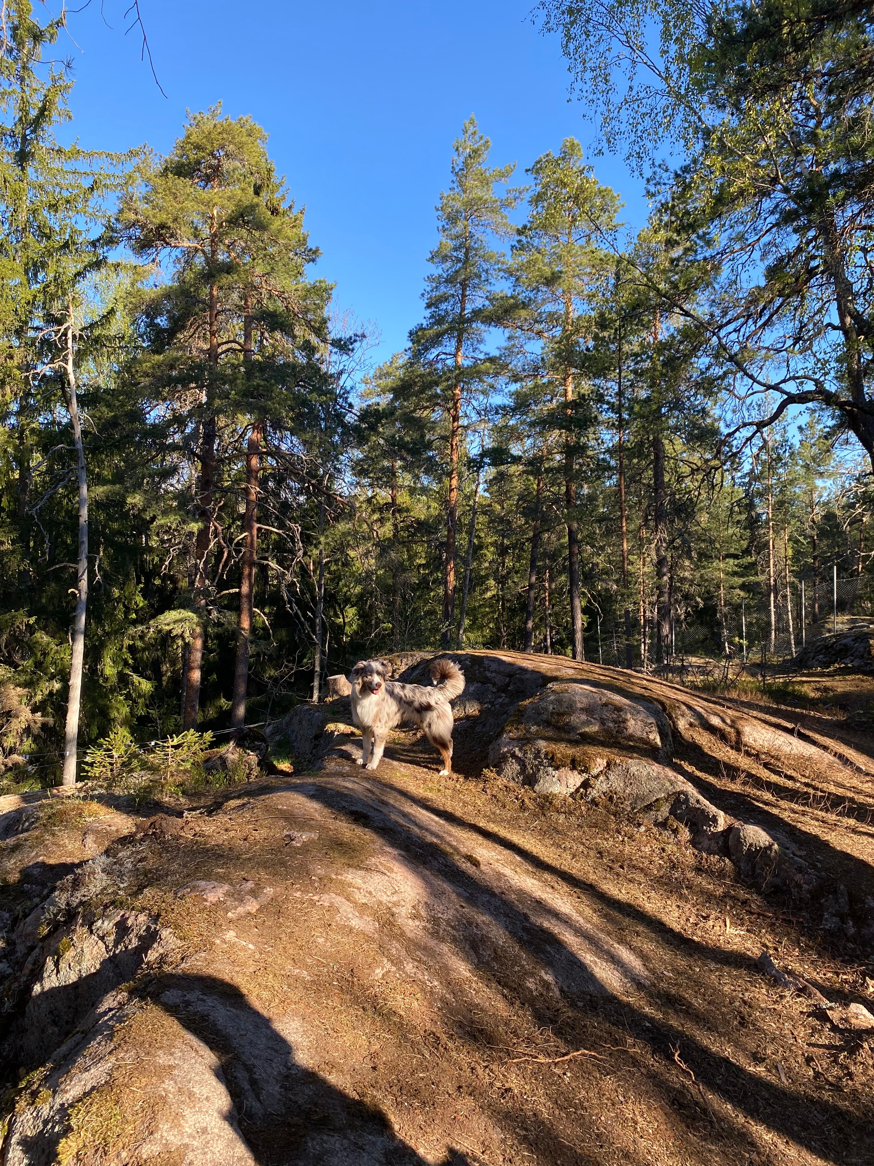 image-16
