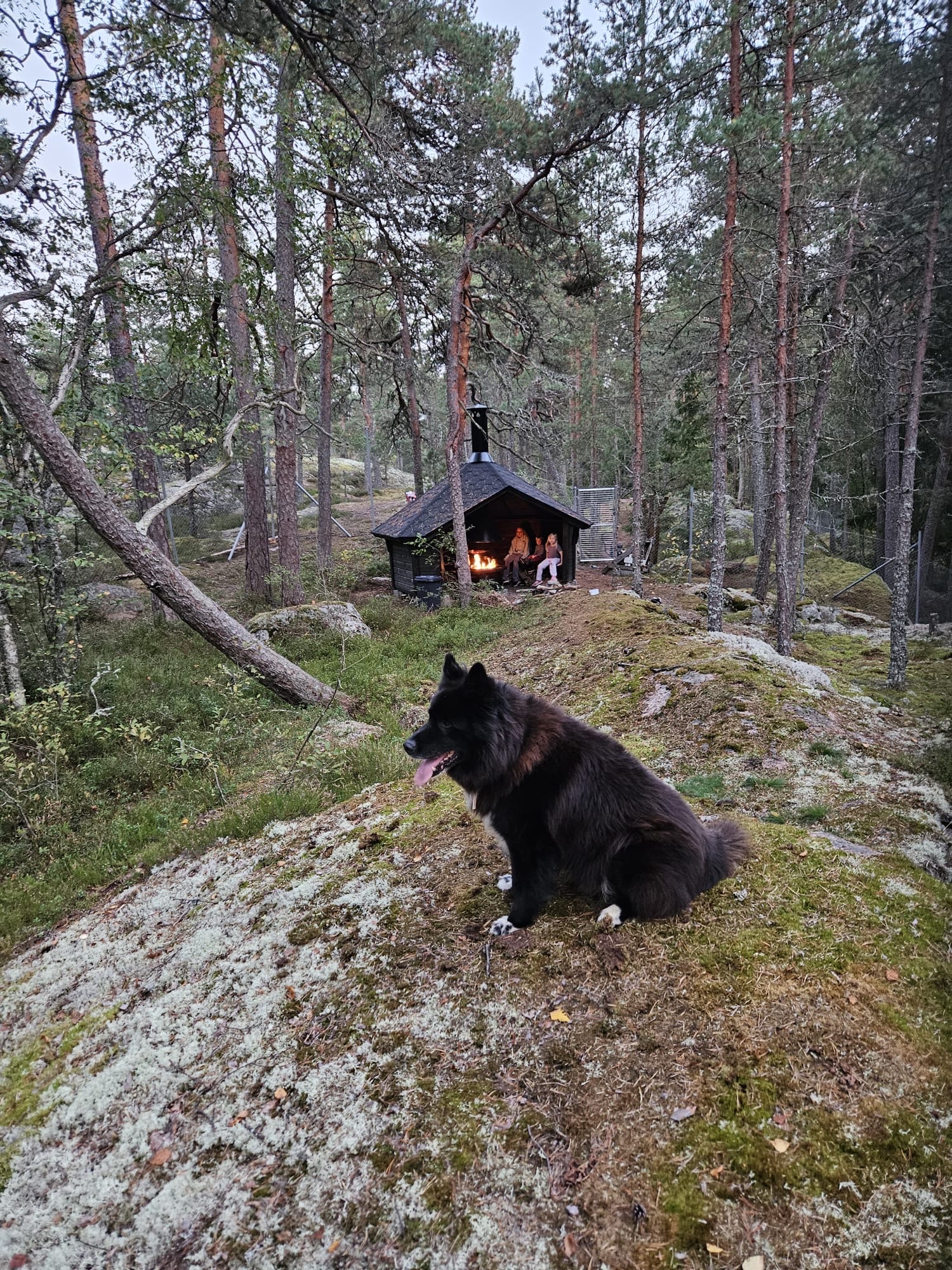 image-13