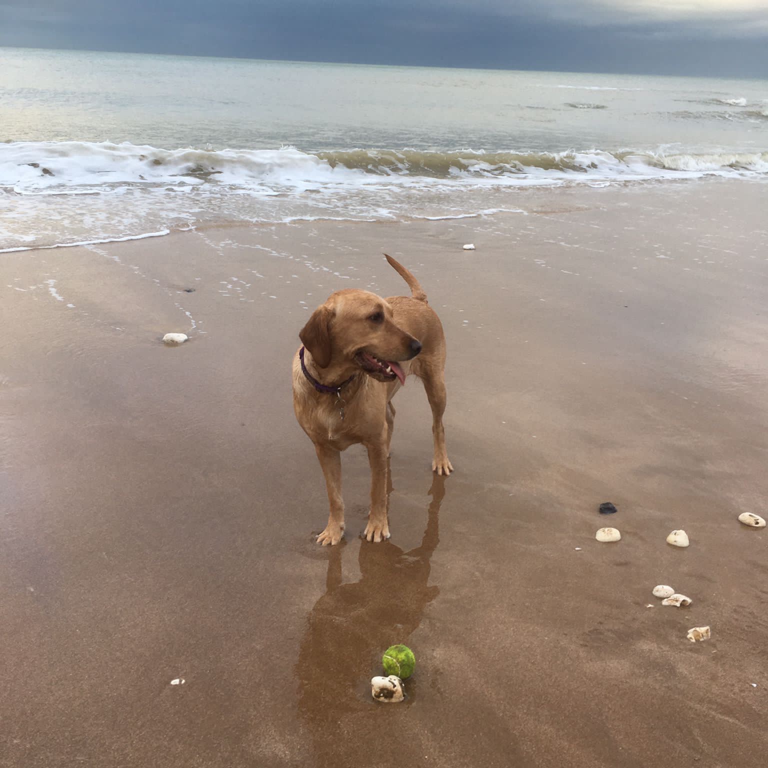 Luna