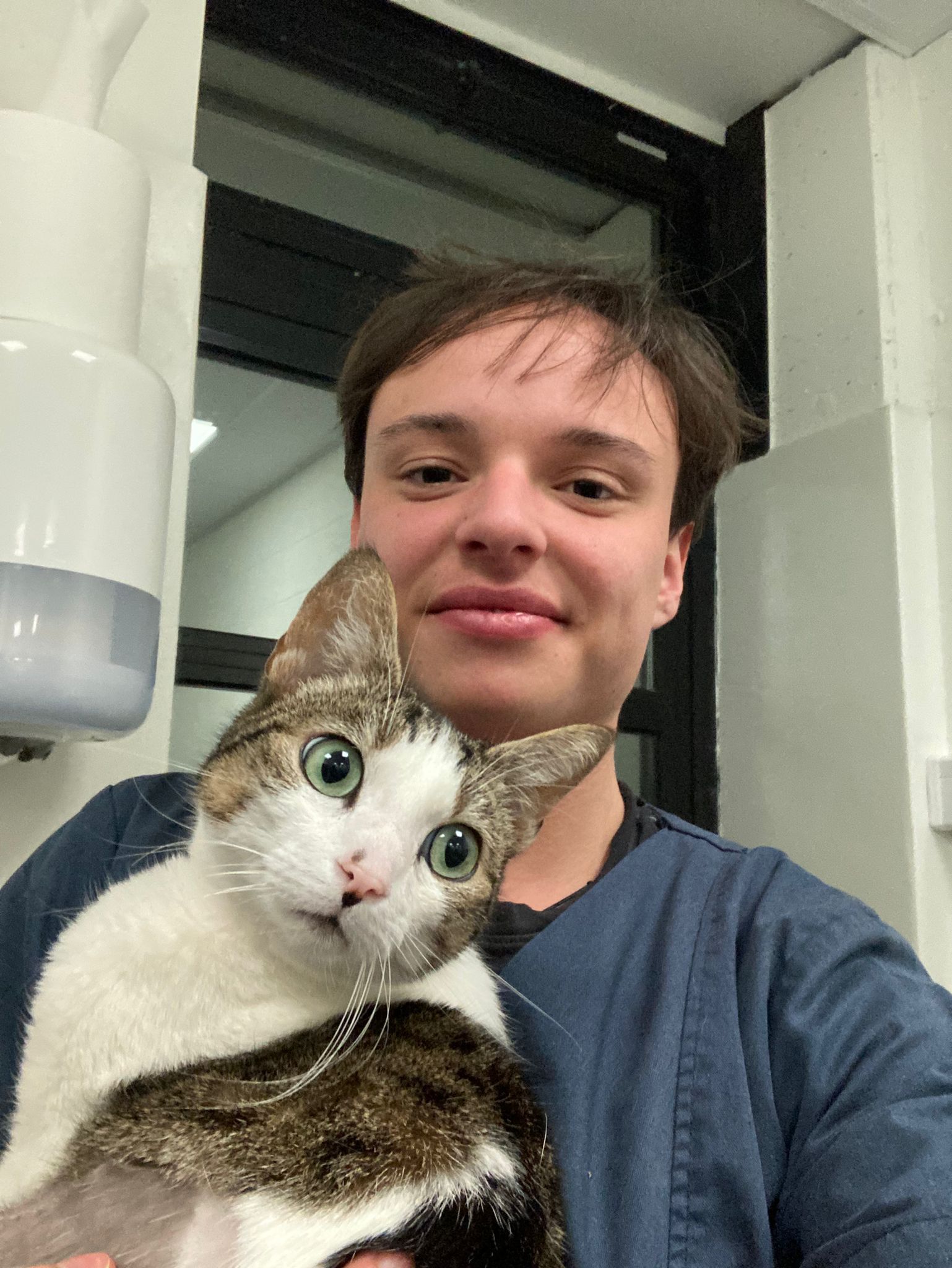 image-7