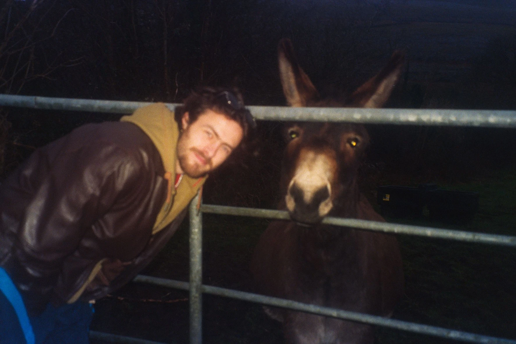image-7