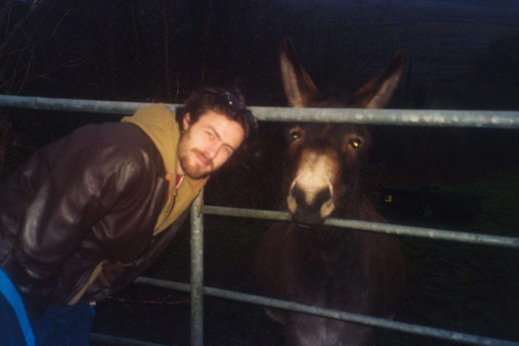 image-7