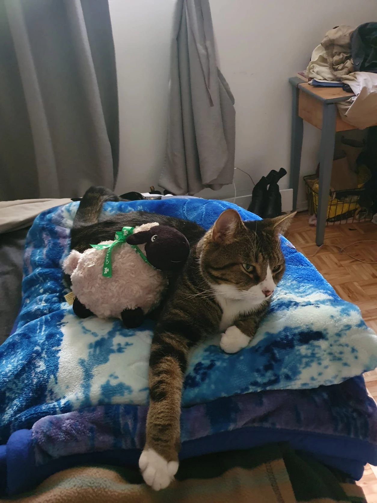 image-8