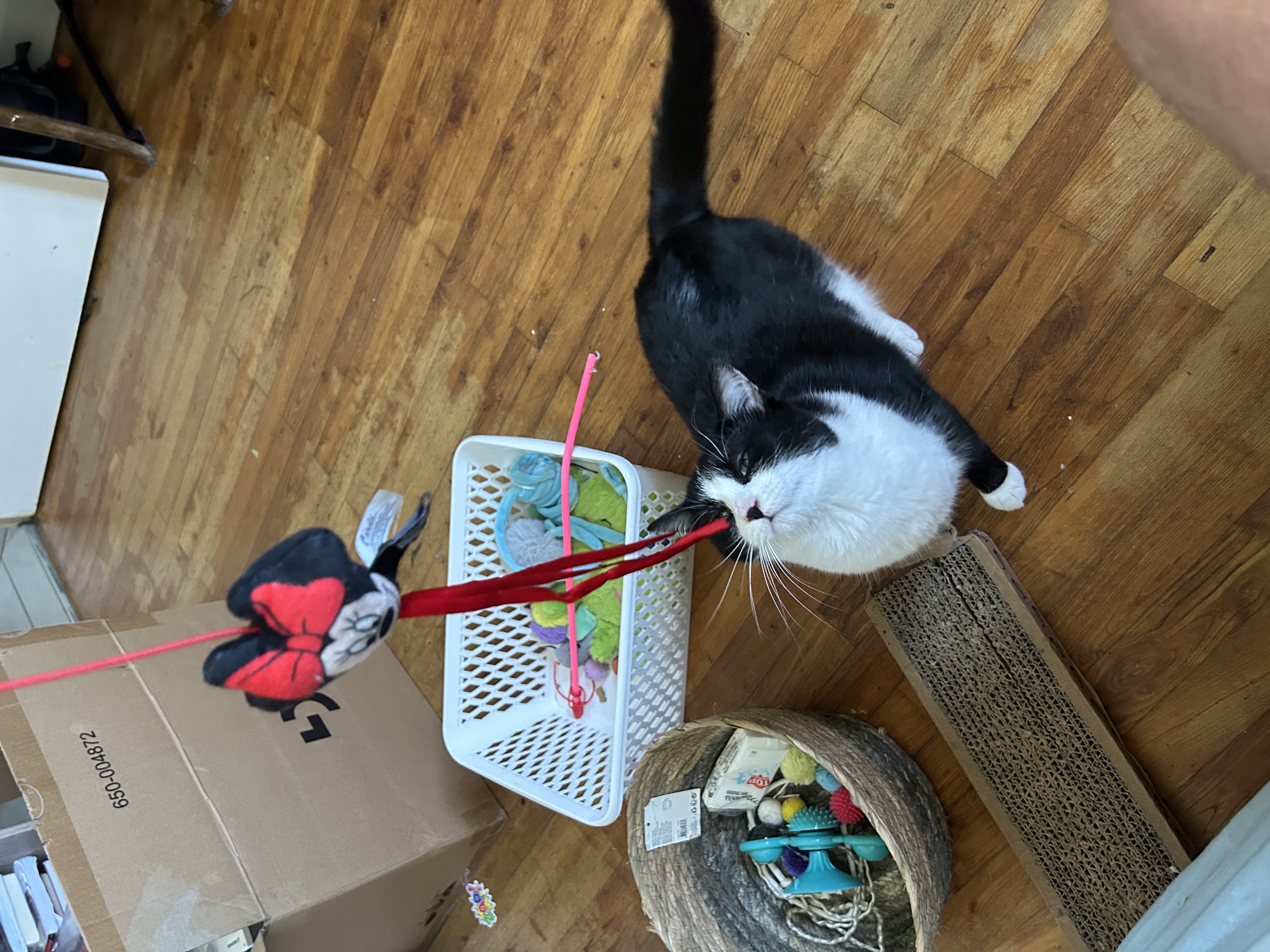 image-6
