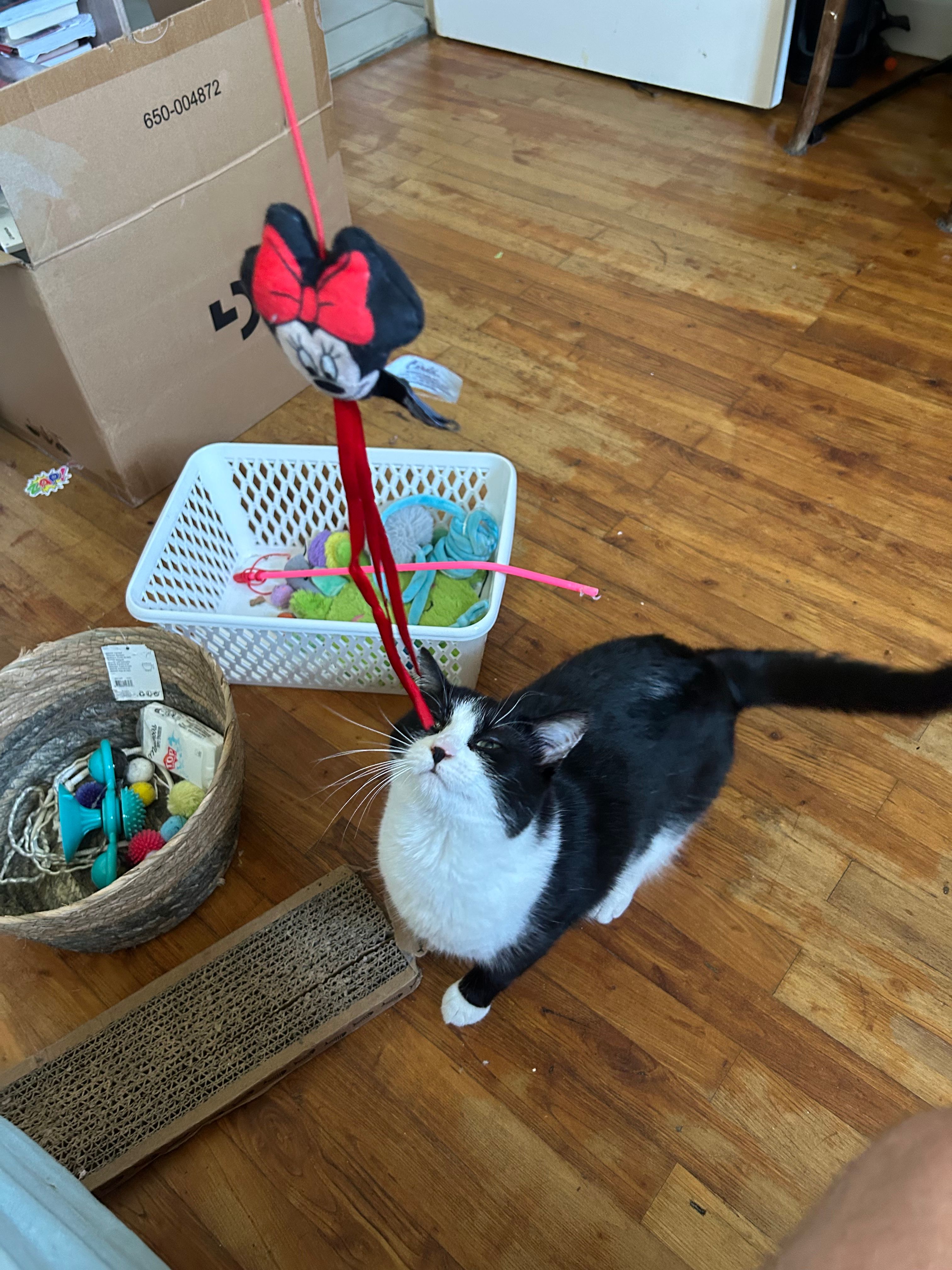 image-6