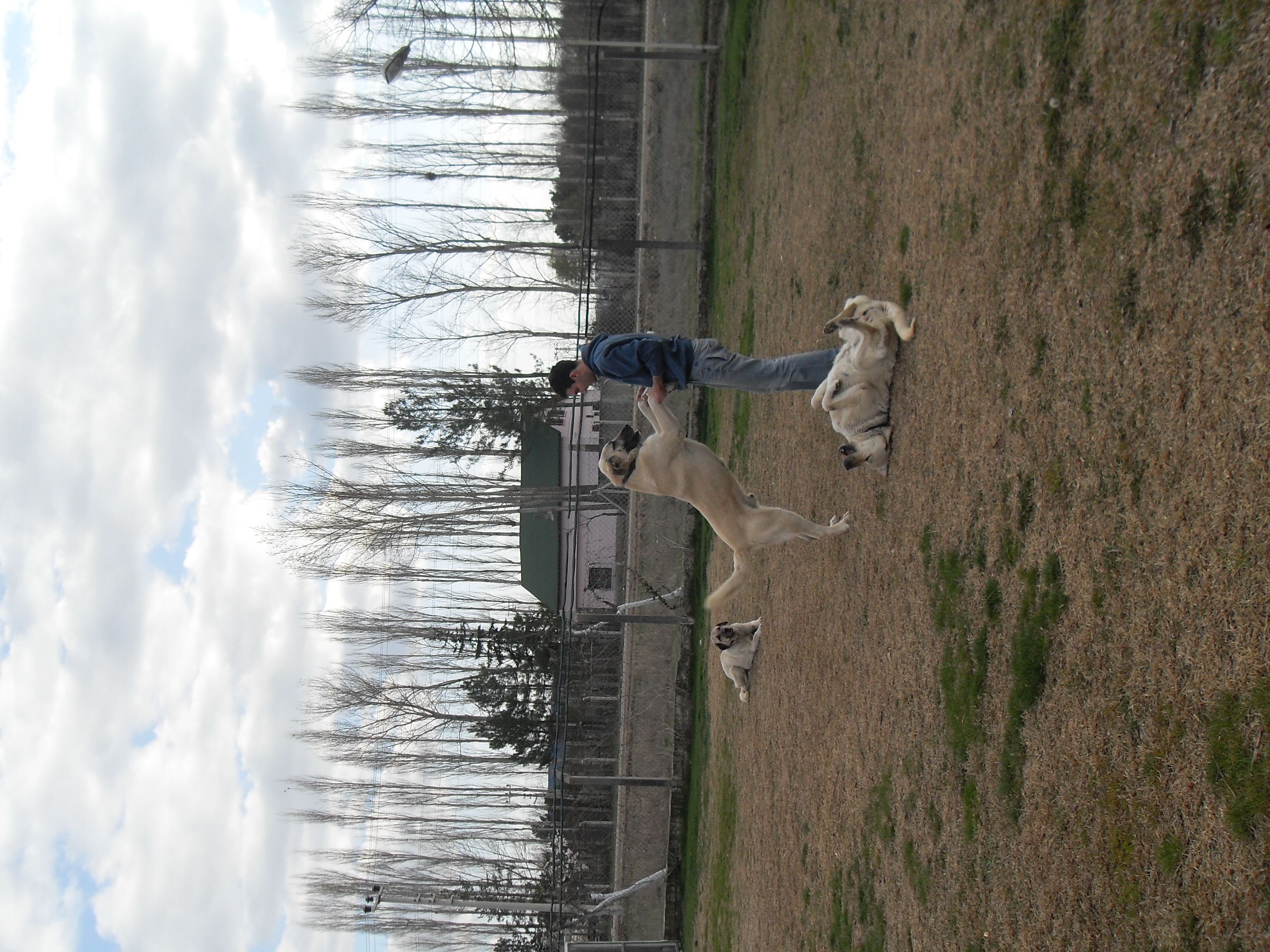 image-4