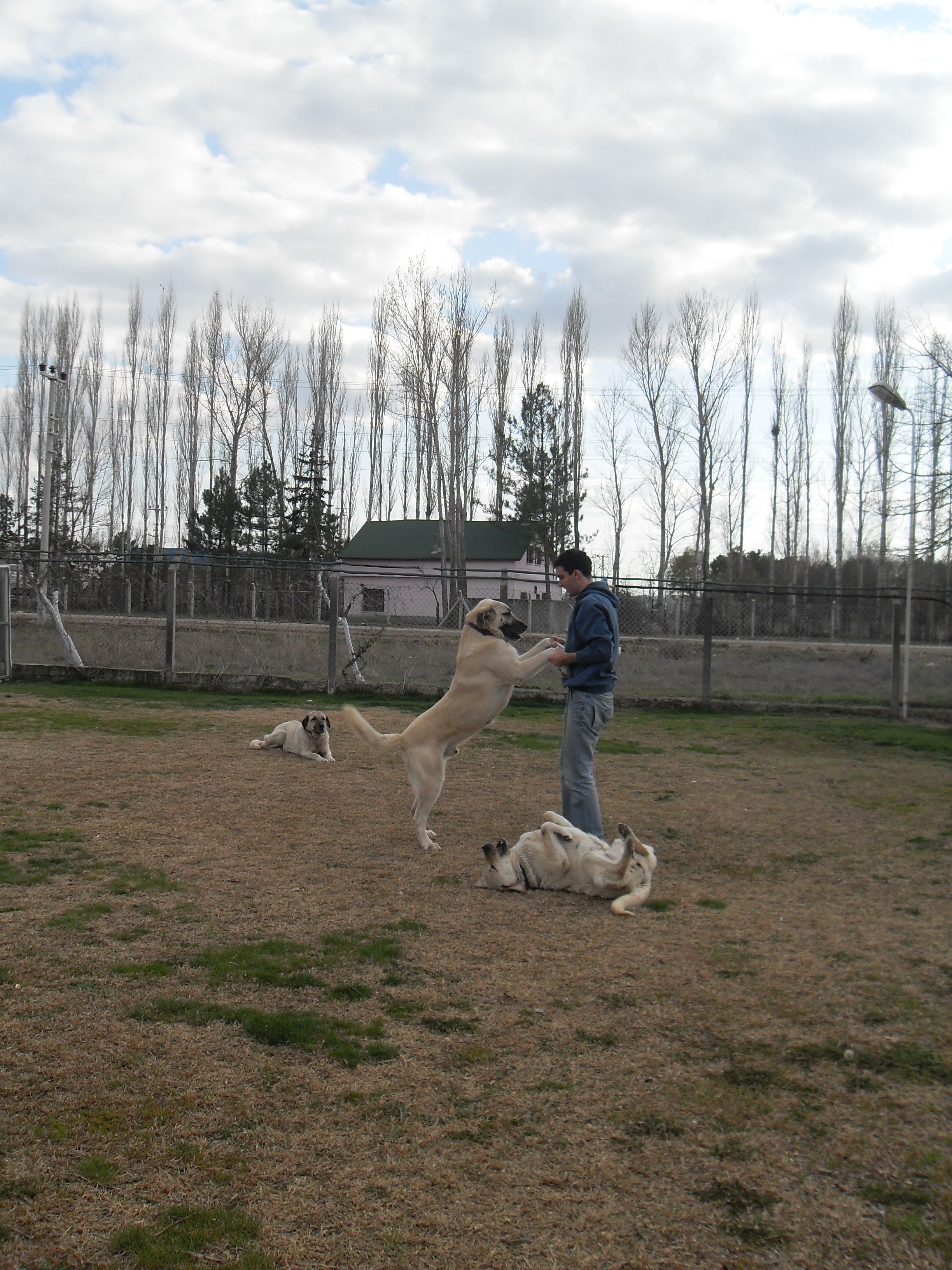 image-4
