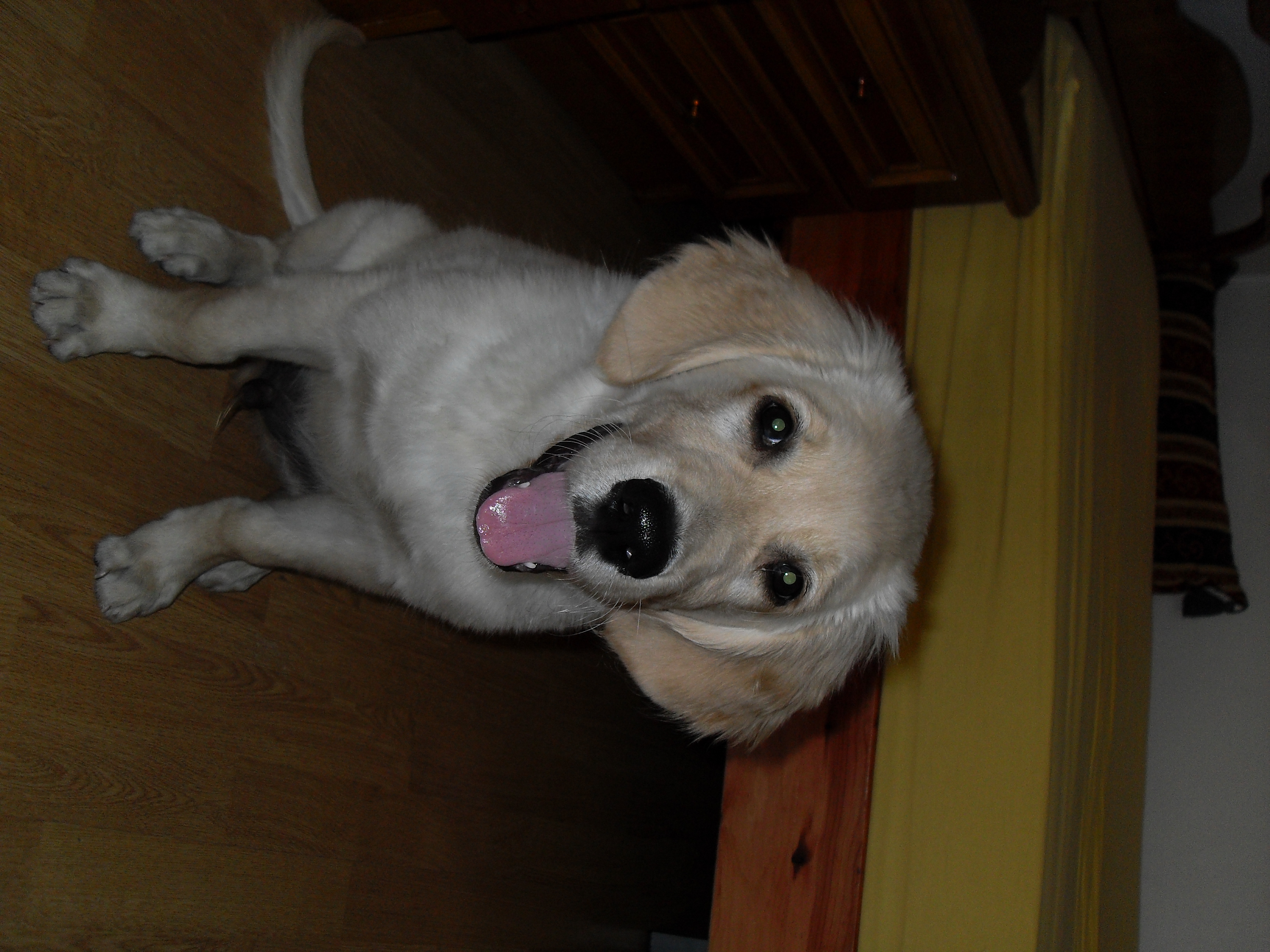 image-5