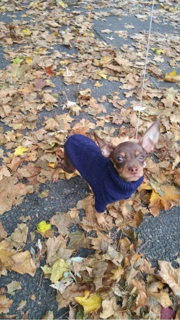 image-21