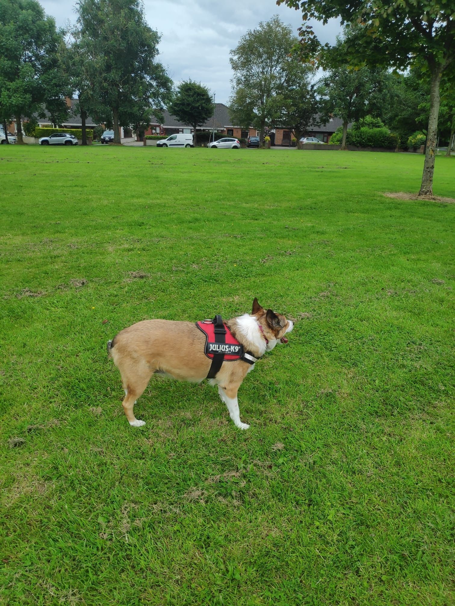 image-29