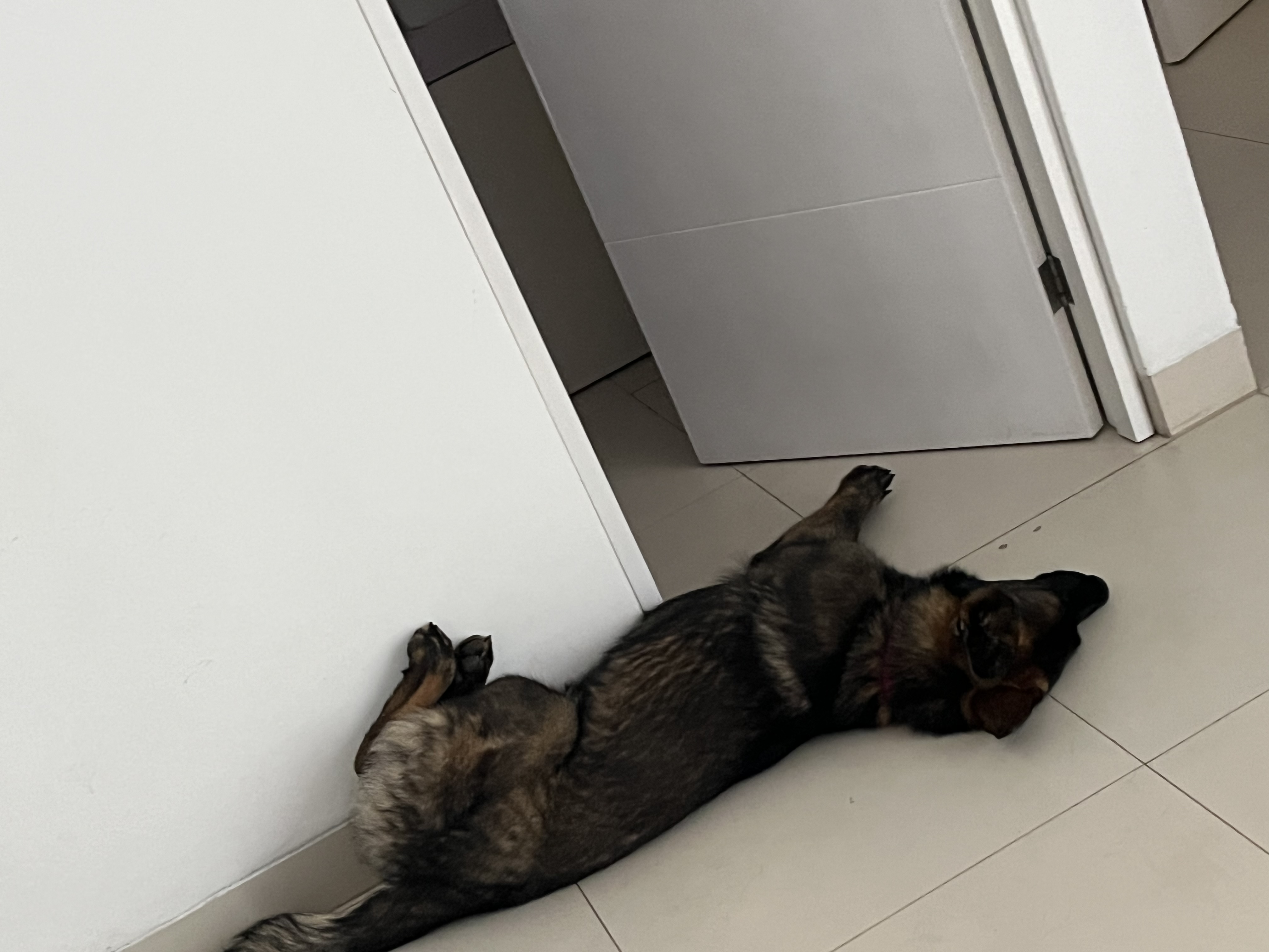 image-14