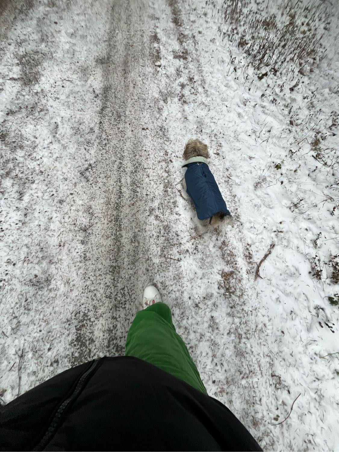 image-16
