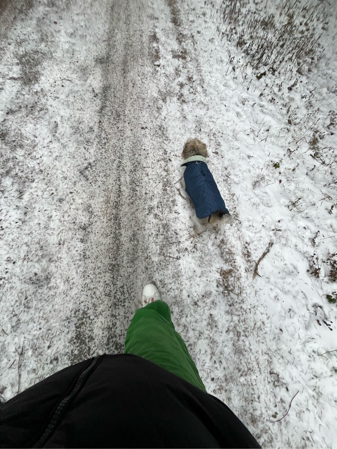 image-16