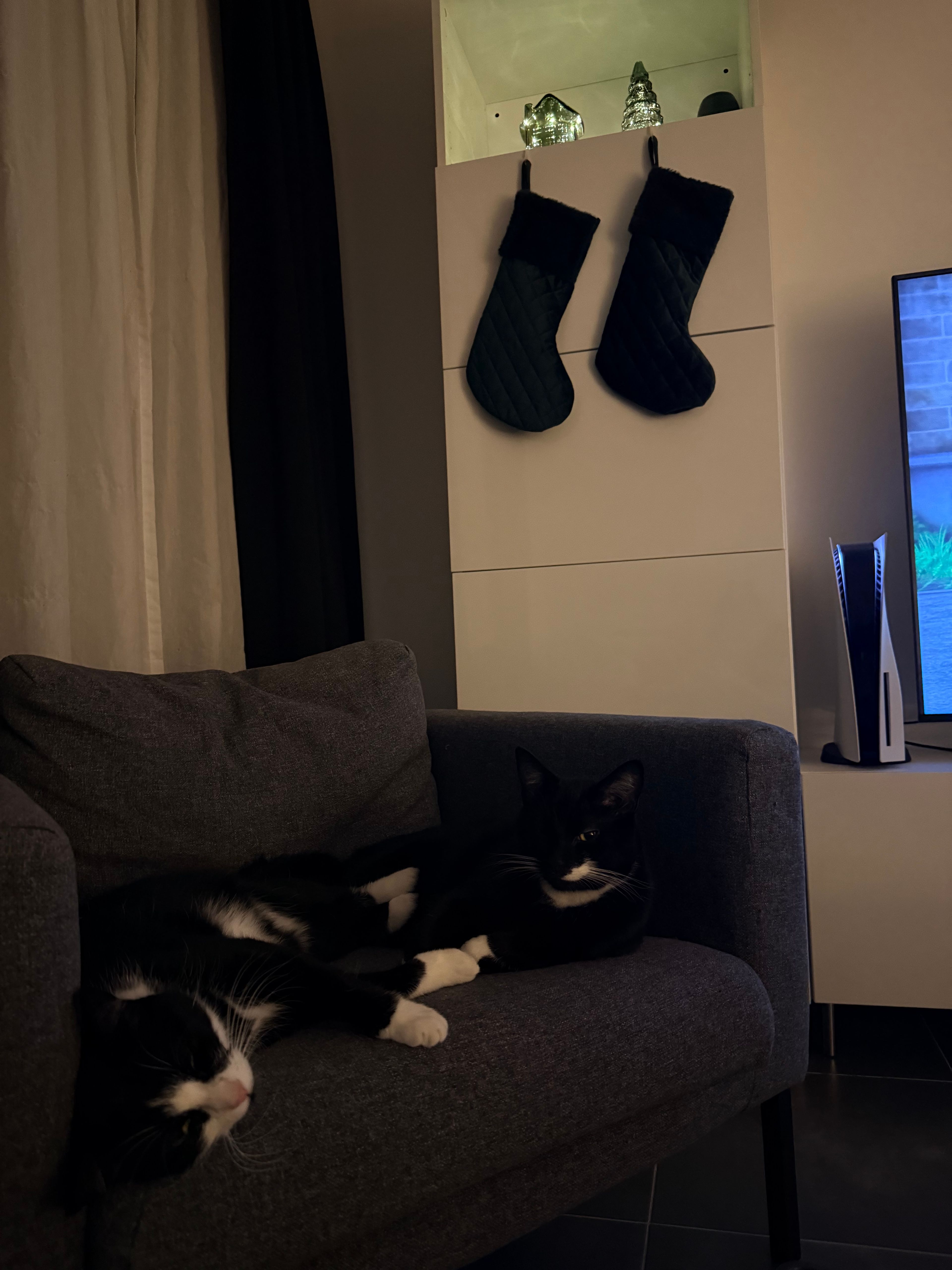 image-9